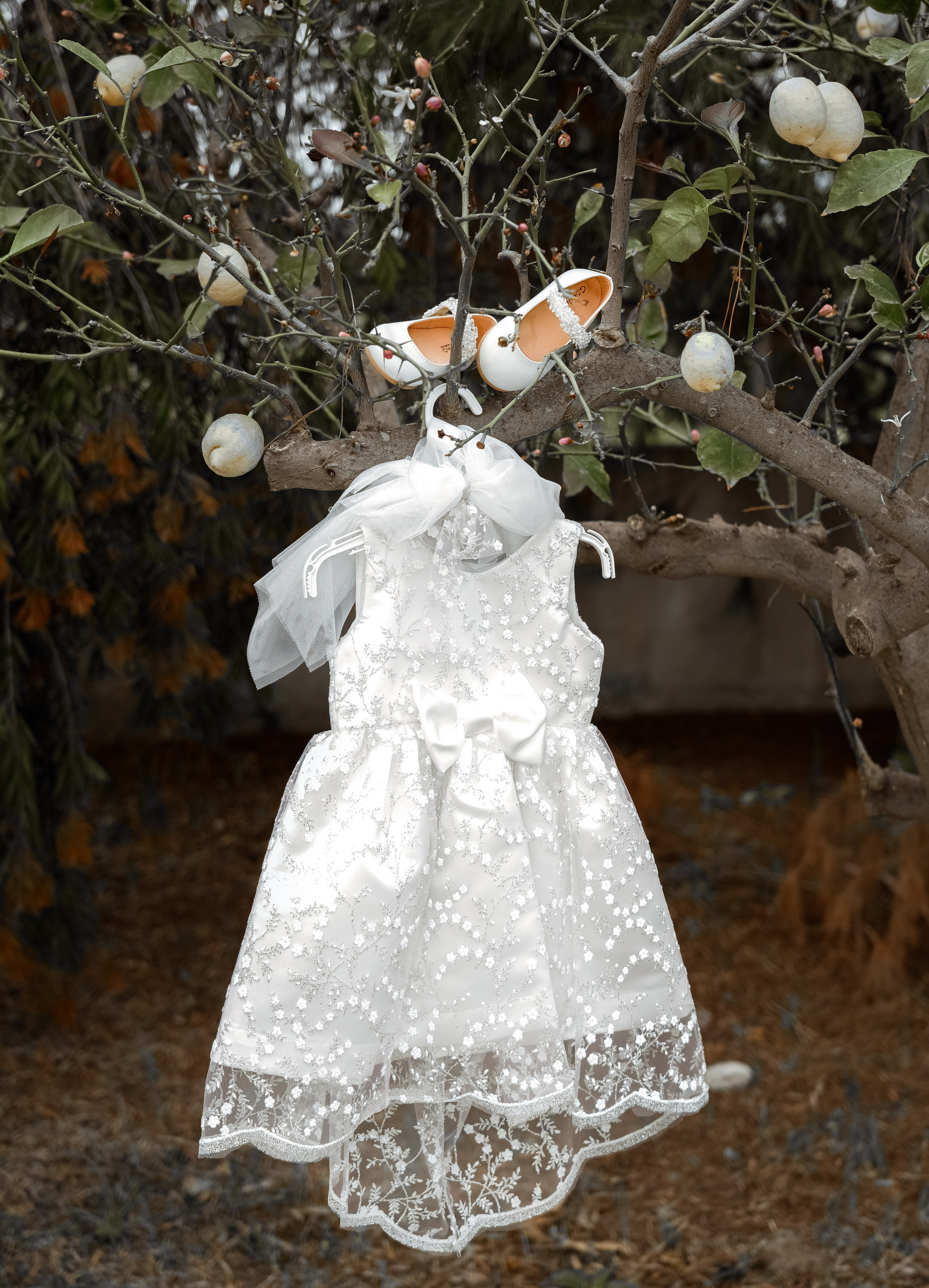 Βaptisms. Wedding and Baptism photographer in cyprus