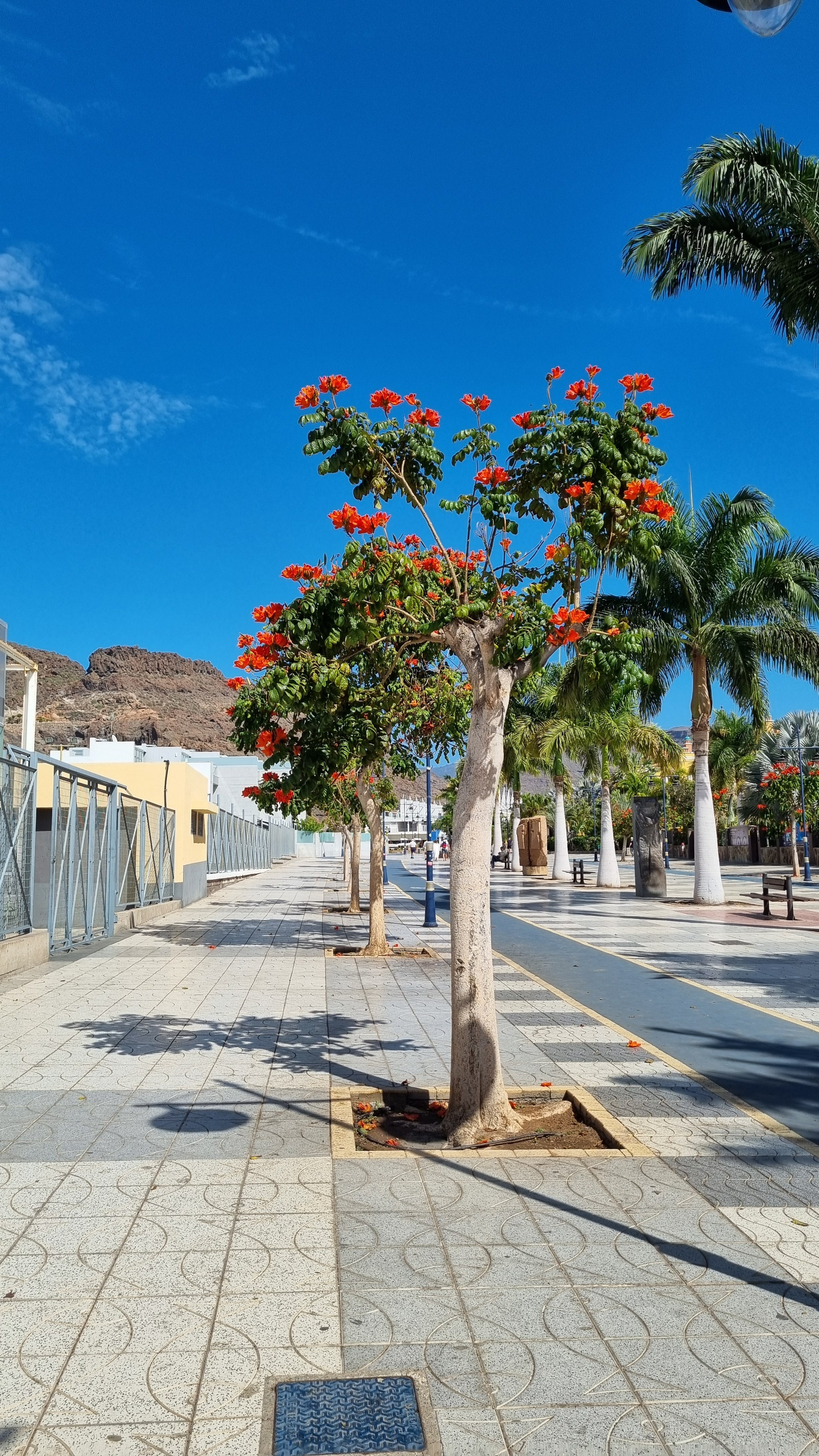 Gran Canaria 2024. Марина фотограф из Нюрнберга