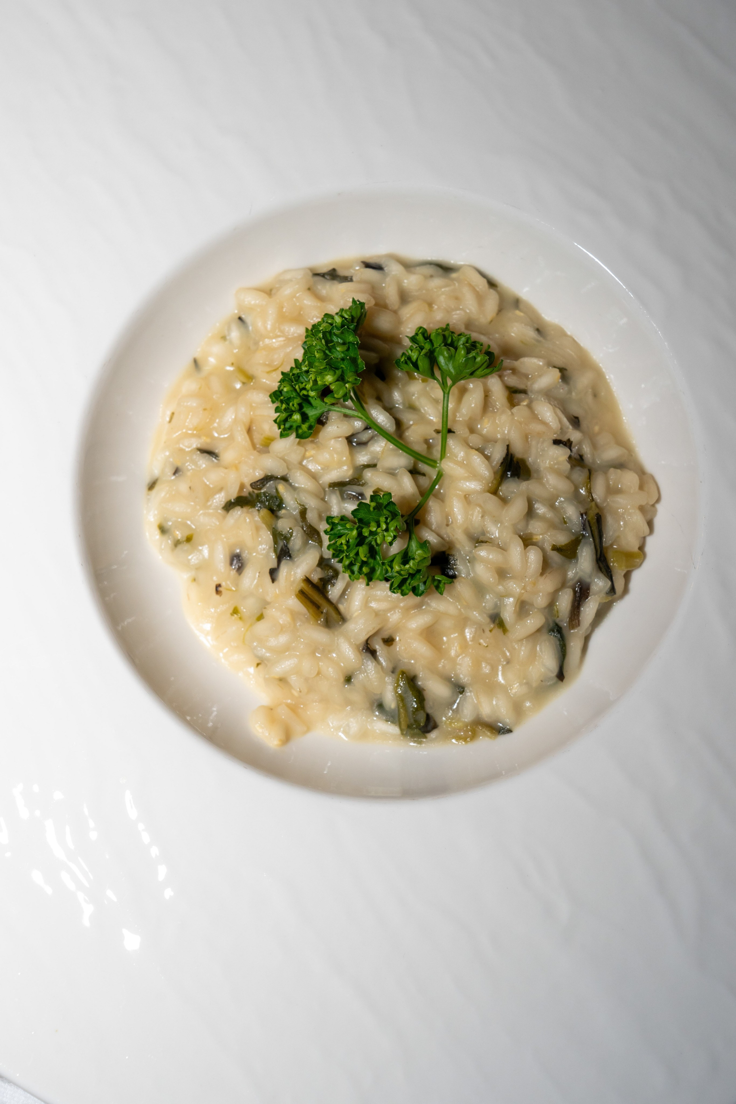 Adele Mari. Studio Timis