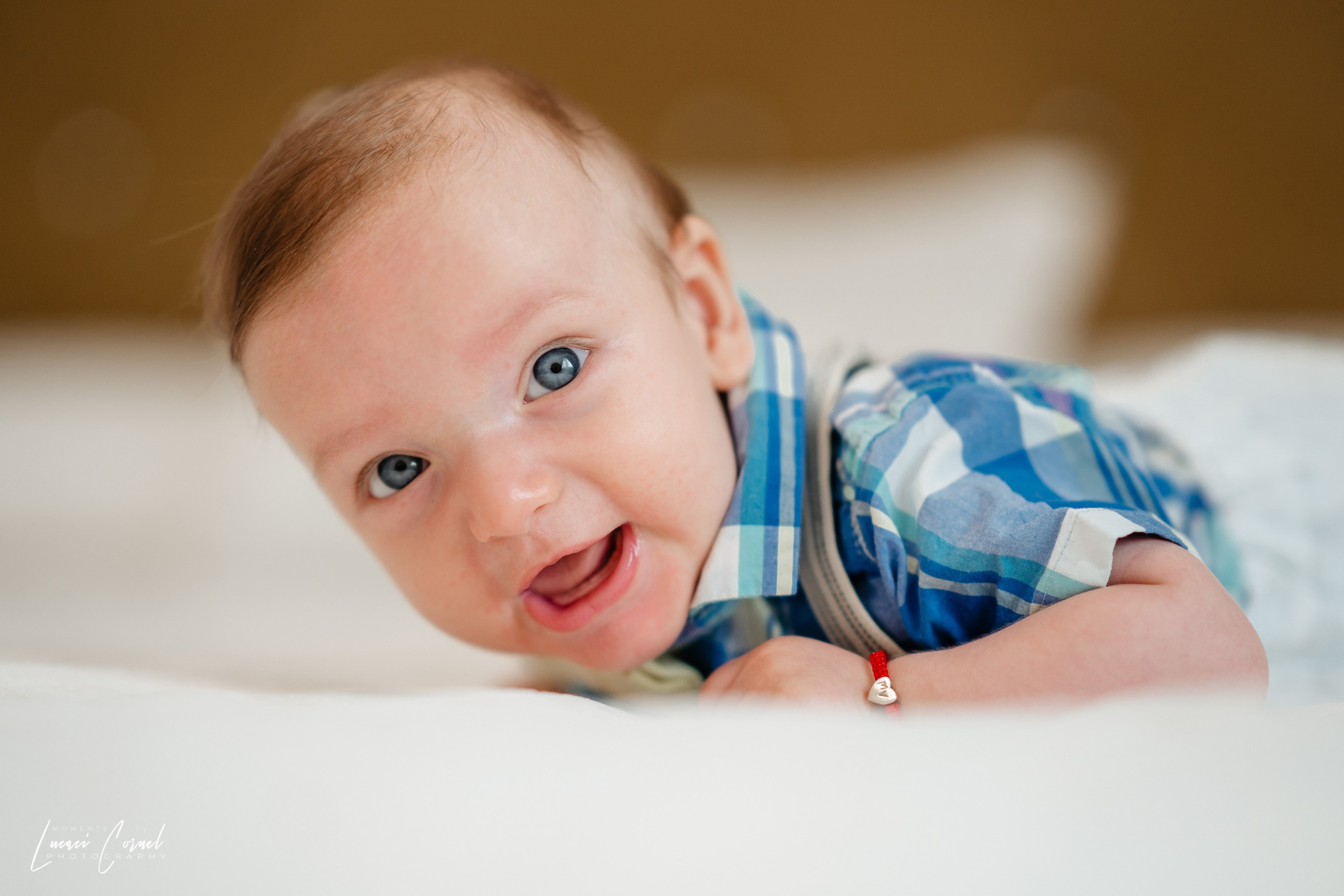 Familie – Amintiri de neuitat. Fotograf de nuntă, corporate, botezuri, majorate și aniversări Roman, Lucaci Cornel