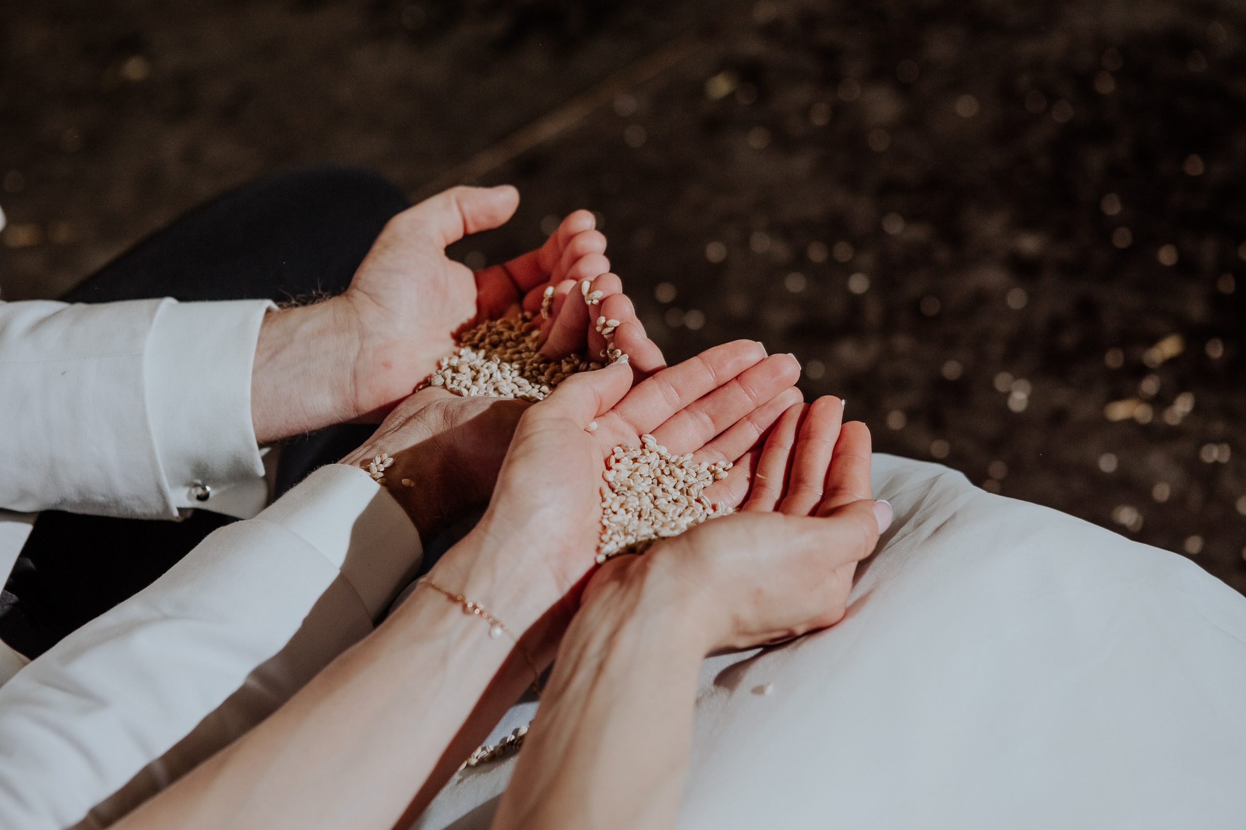 ELIZABETE & DĀVIS. Veronika Lokotko — kāzu un portretu fotogrāfe Latvijā