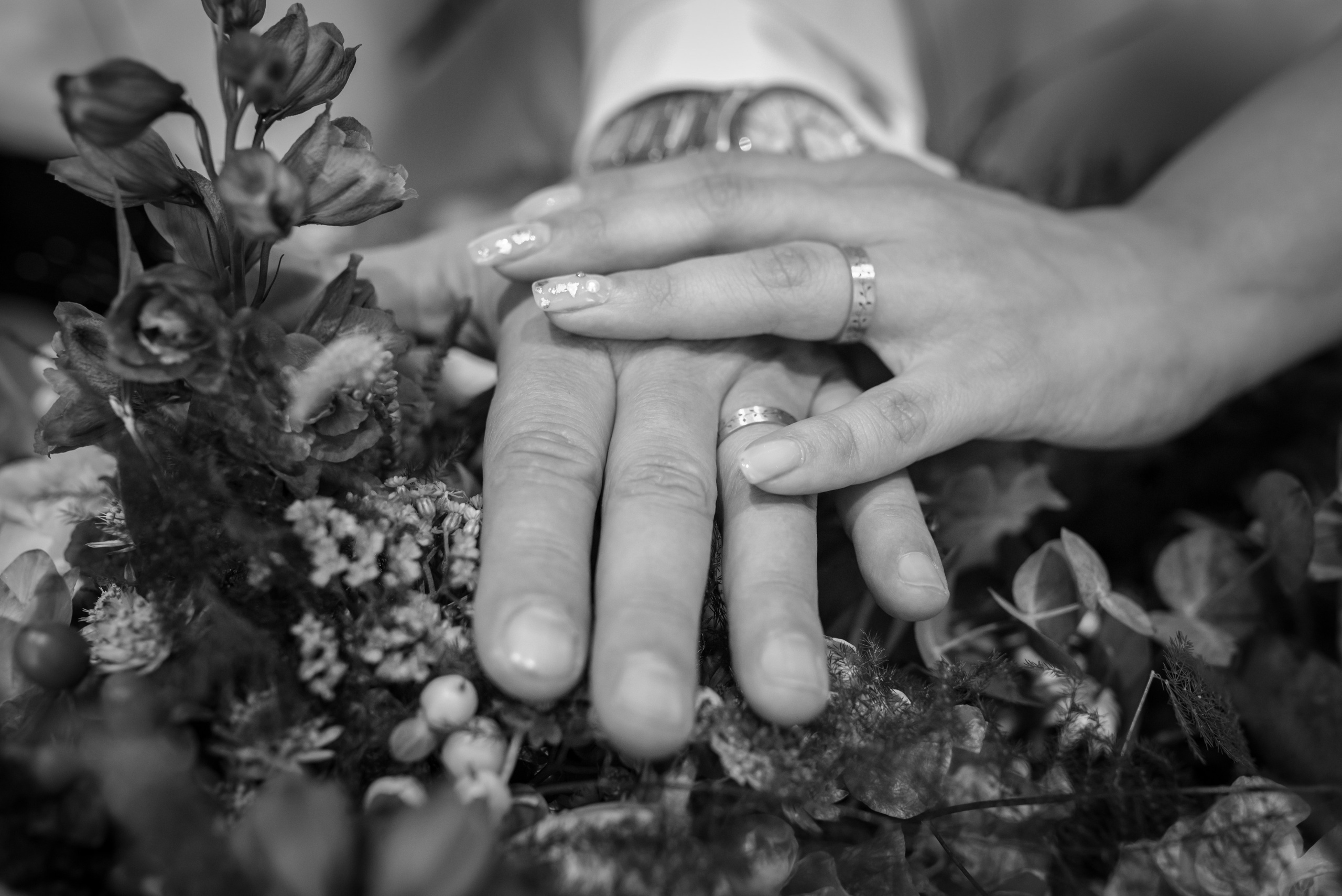 Wedding Photography. Daniel Criste Fotograf