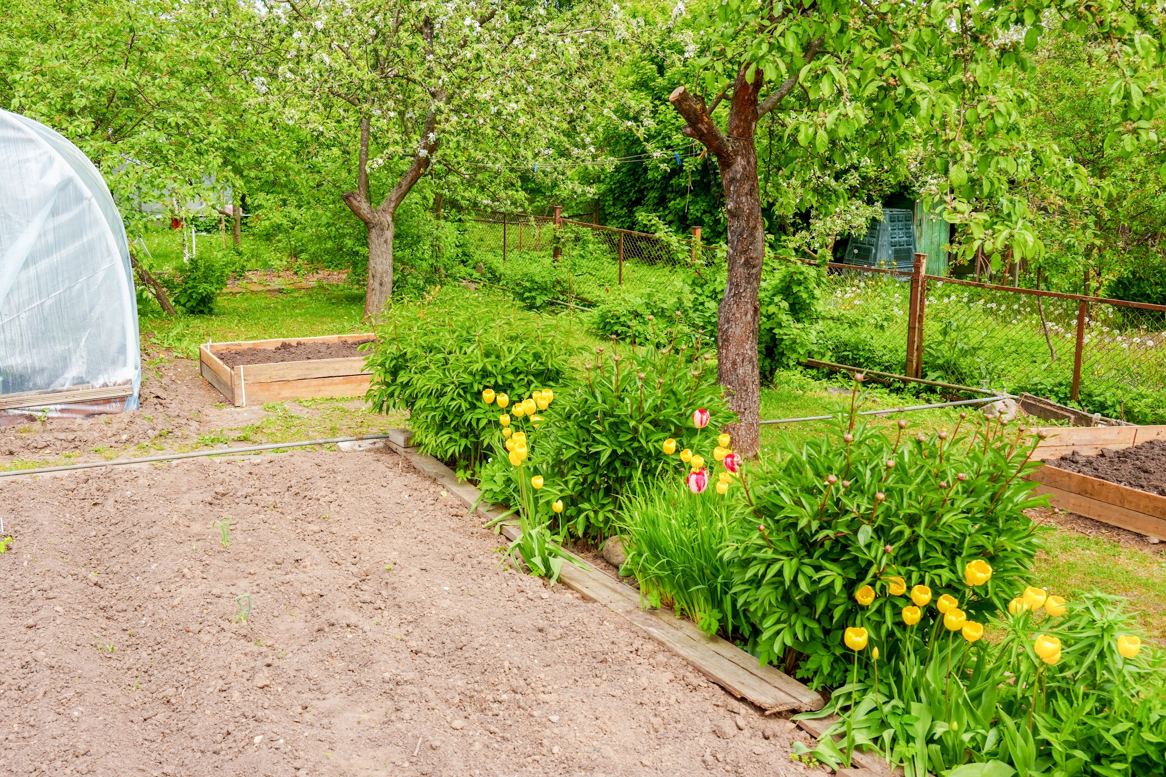 Pupojų sodų 3-oji. Elina Sapiega fotografė Vilniuje
