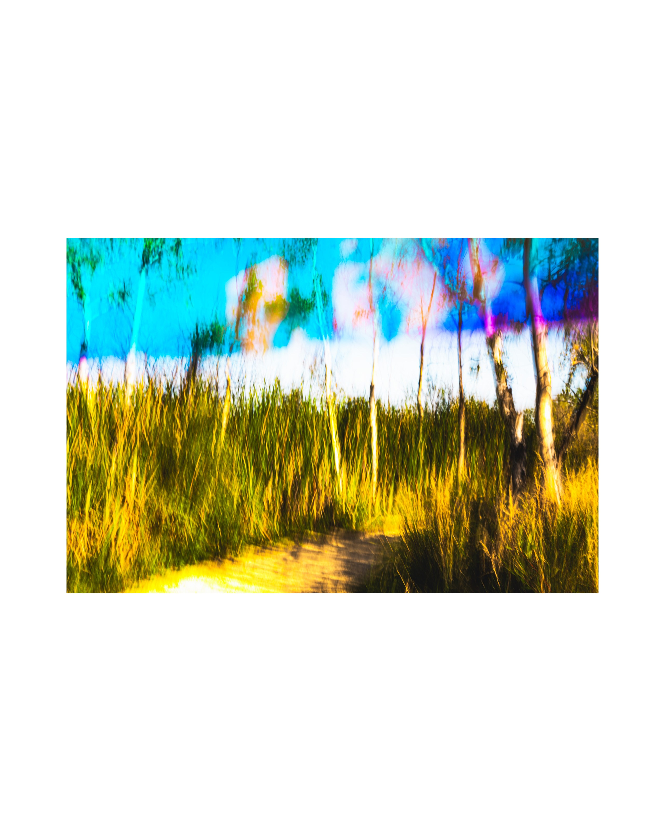 Nature from Exaggerated Worlds. Ekaterina Tsurkina-Appina Photography Canada