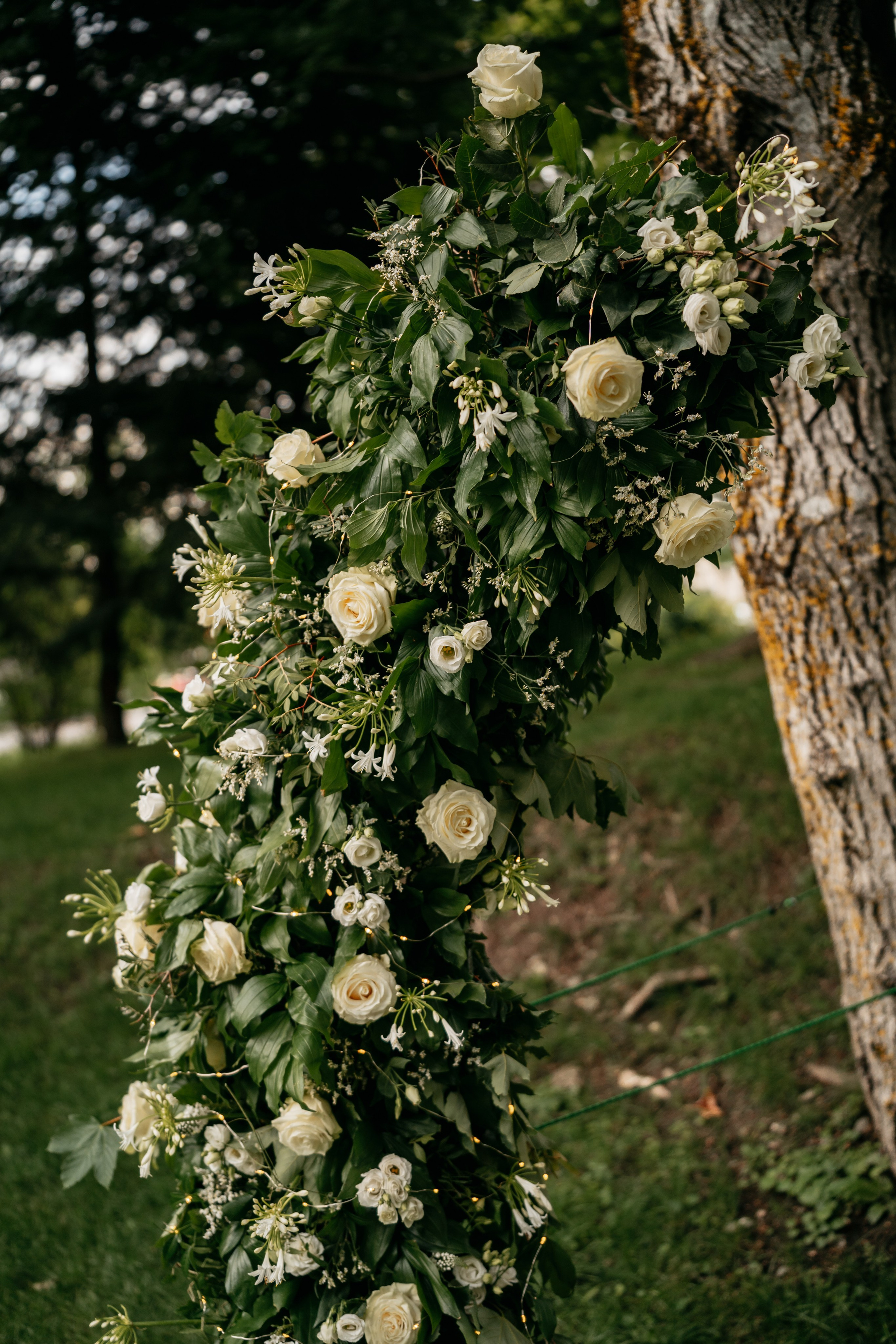 K & T. Fotograf Nunta Iasi - Hearts & Pictures