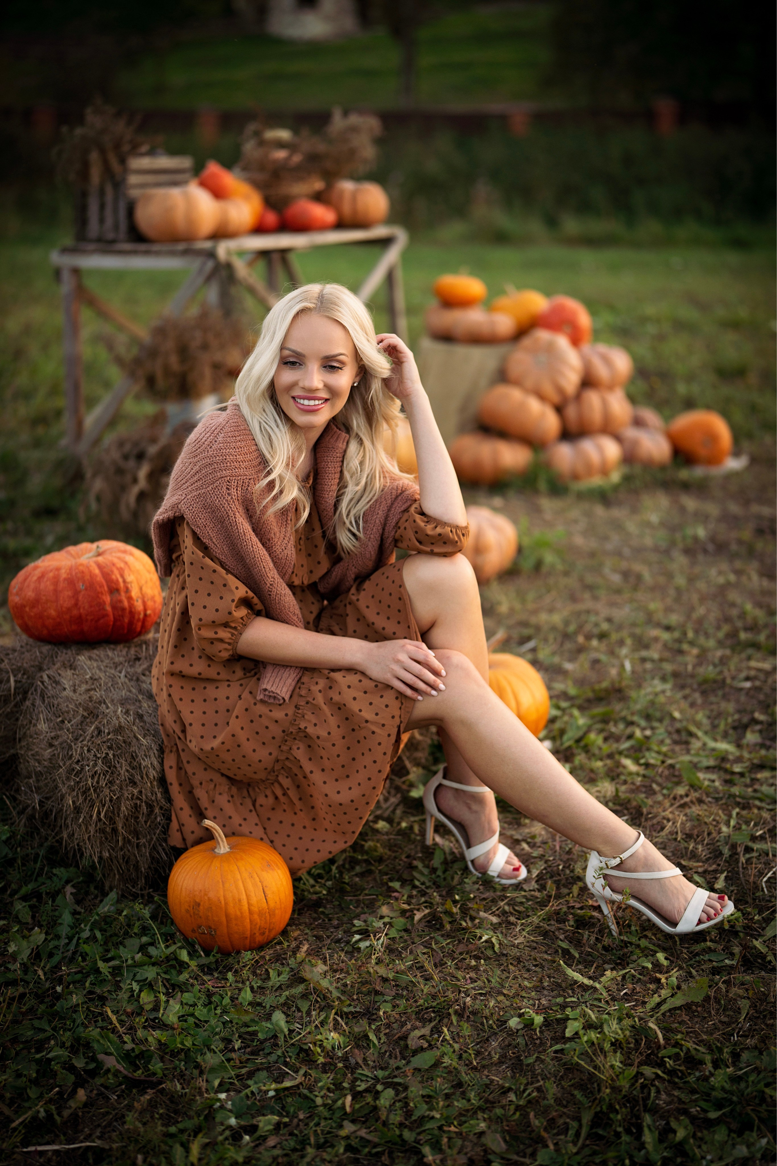 Теплые лапы осени. Ваш фотограф Tetiana Kolos, найду самый удачный ракурс и словлю момент