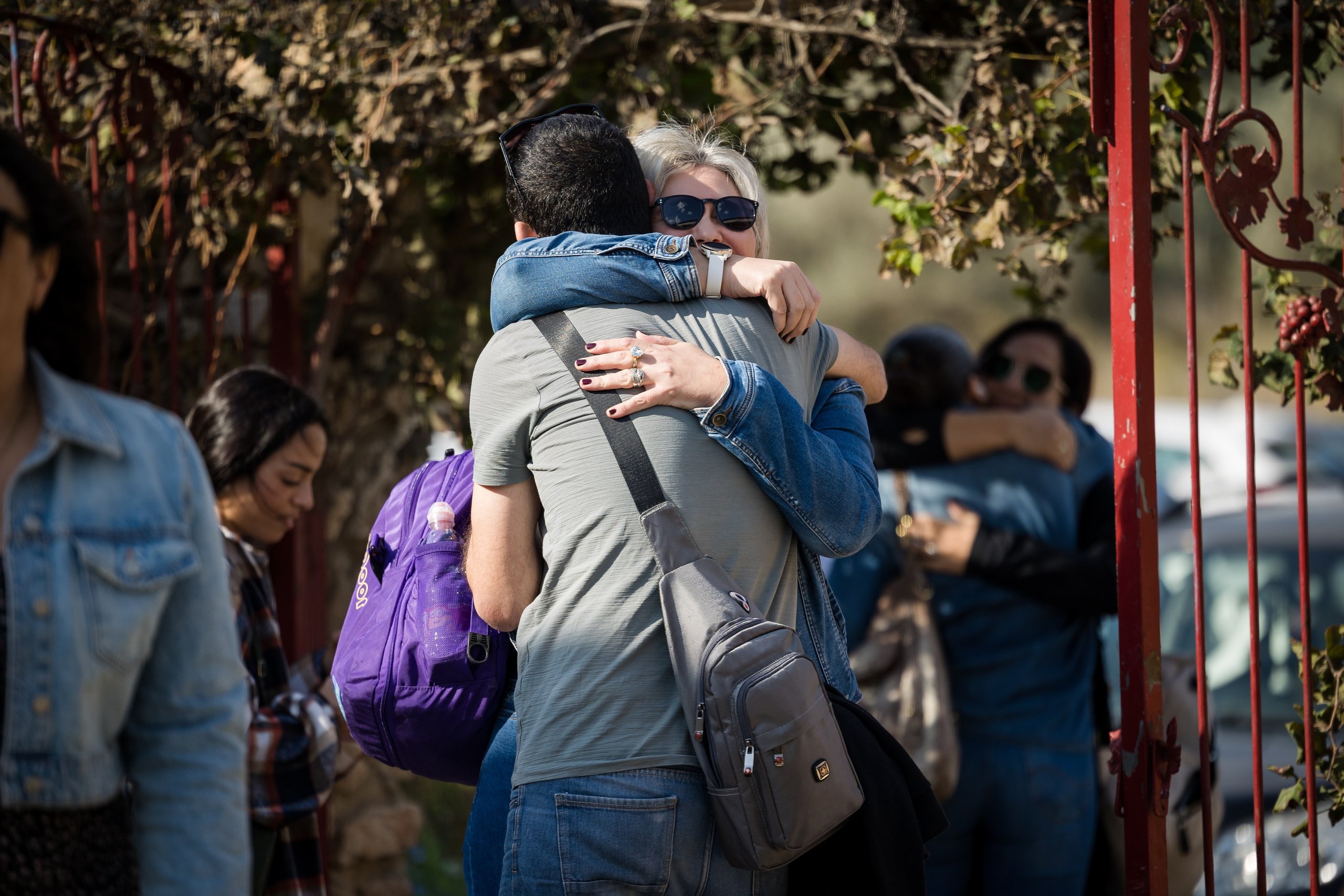 זרעי גדרה — SYNGENTA. AMIR BUCHNIK PHOTOGRAPHER