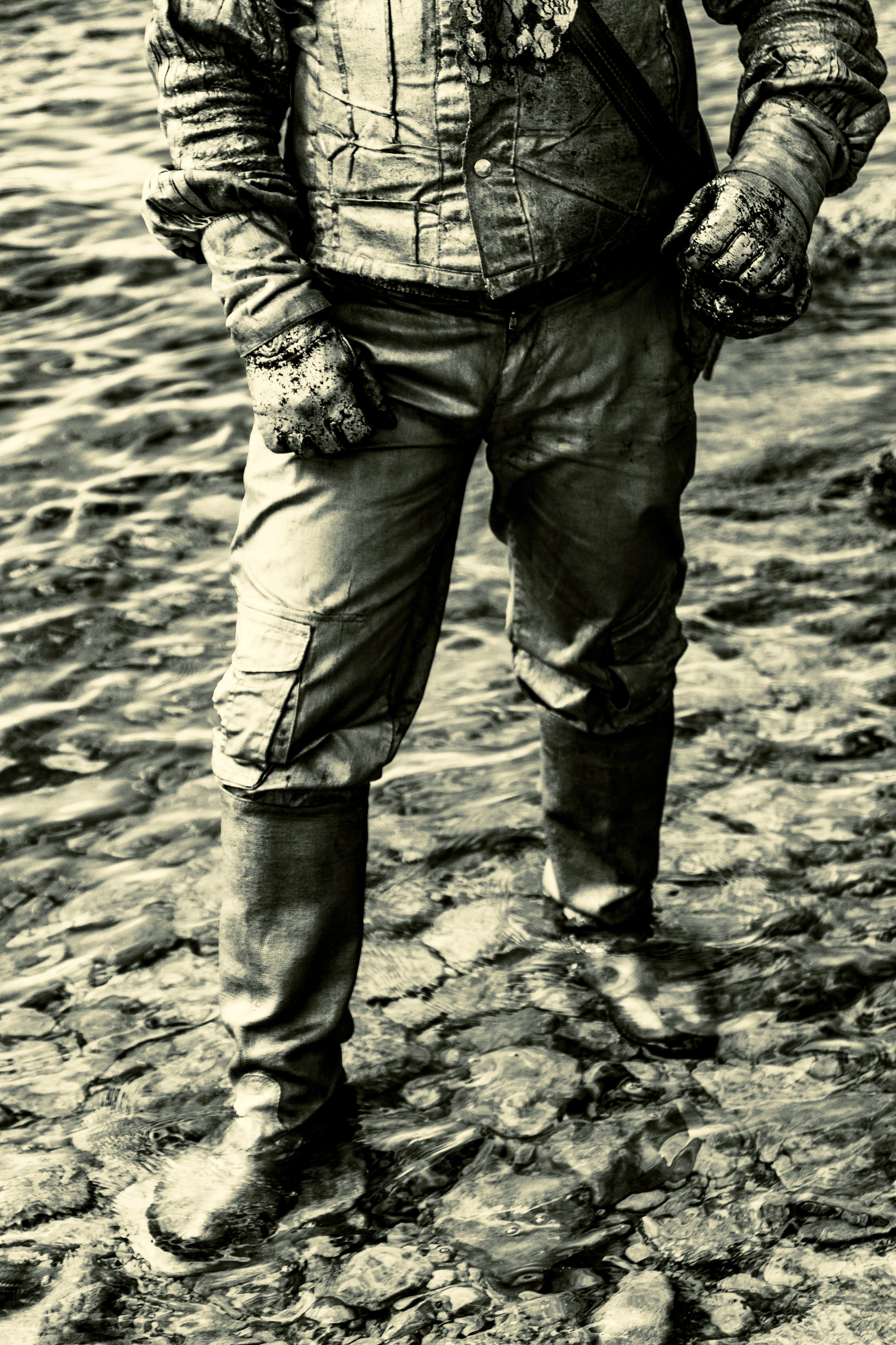 Kuldne komandör (Aleksei). Nebula 25 — Fotod teie hingele