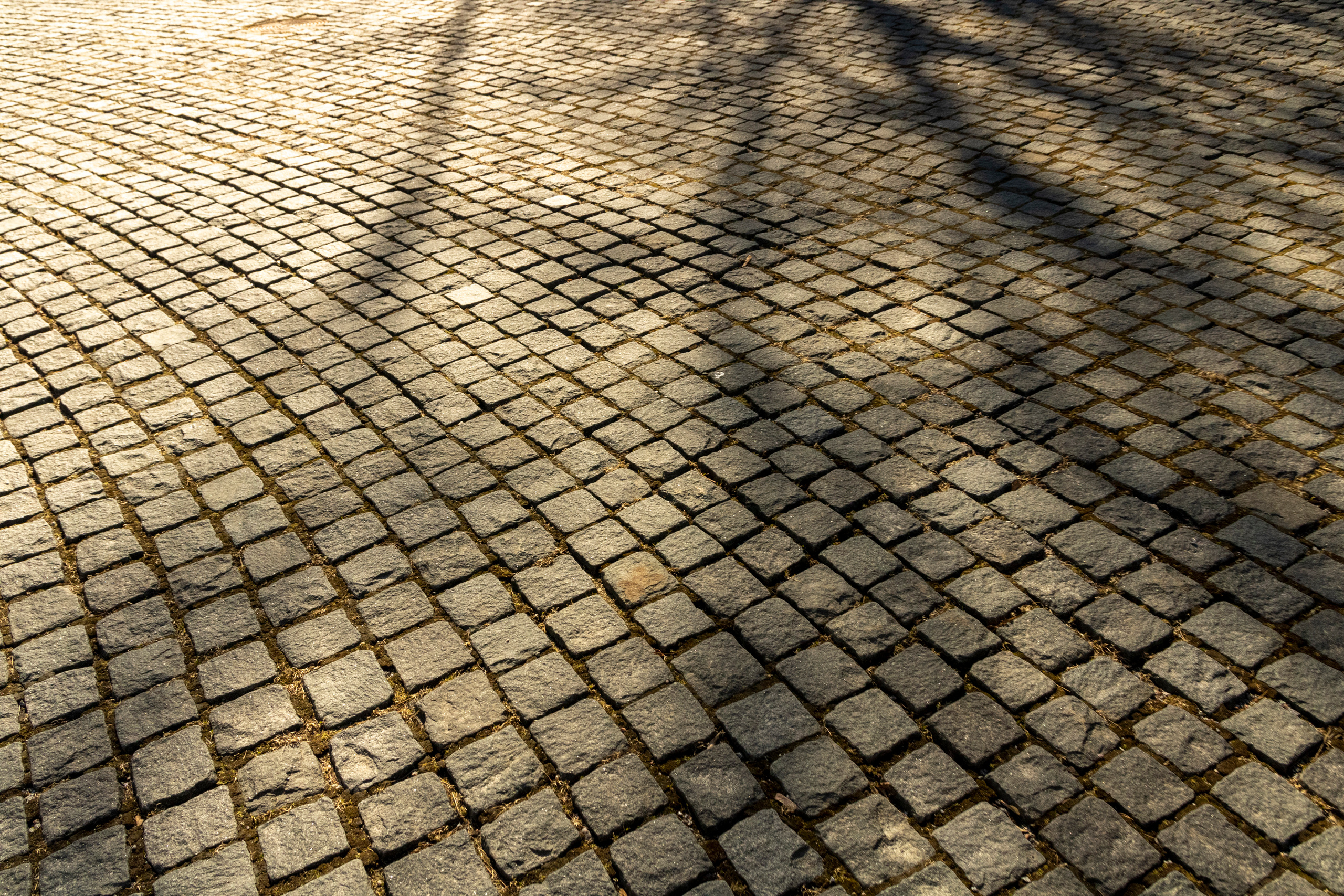 Brothers & Sisters (Anastassija ja Erik G.). Nebula 25 — Fotod teie hingele