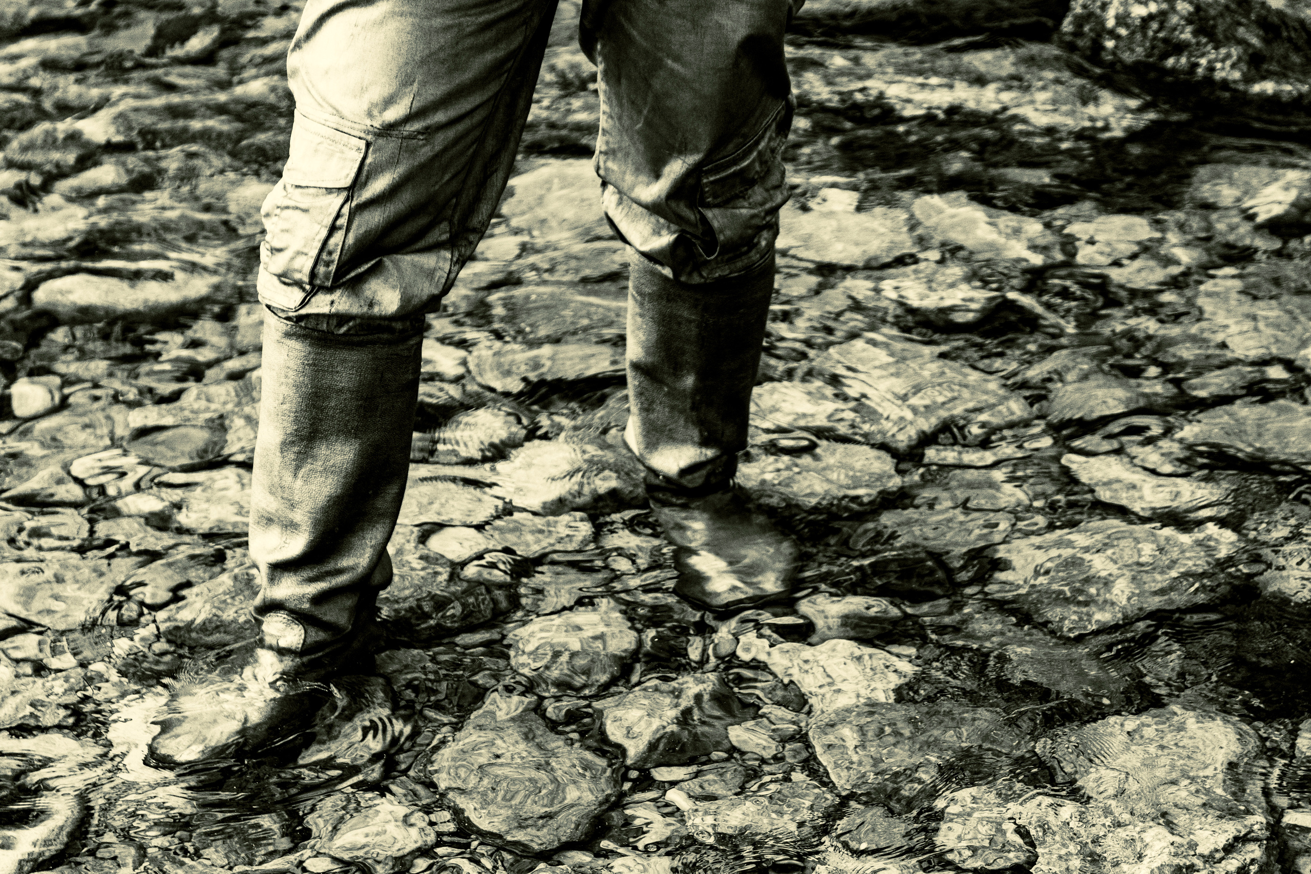 Kuldne komandör (Aleksei). Nebula 25 — Fotod teie hingele