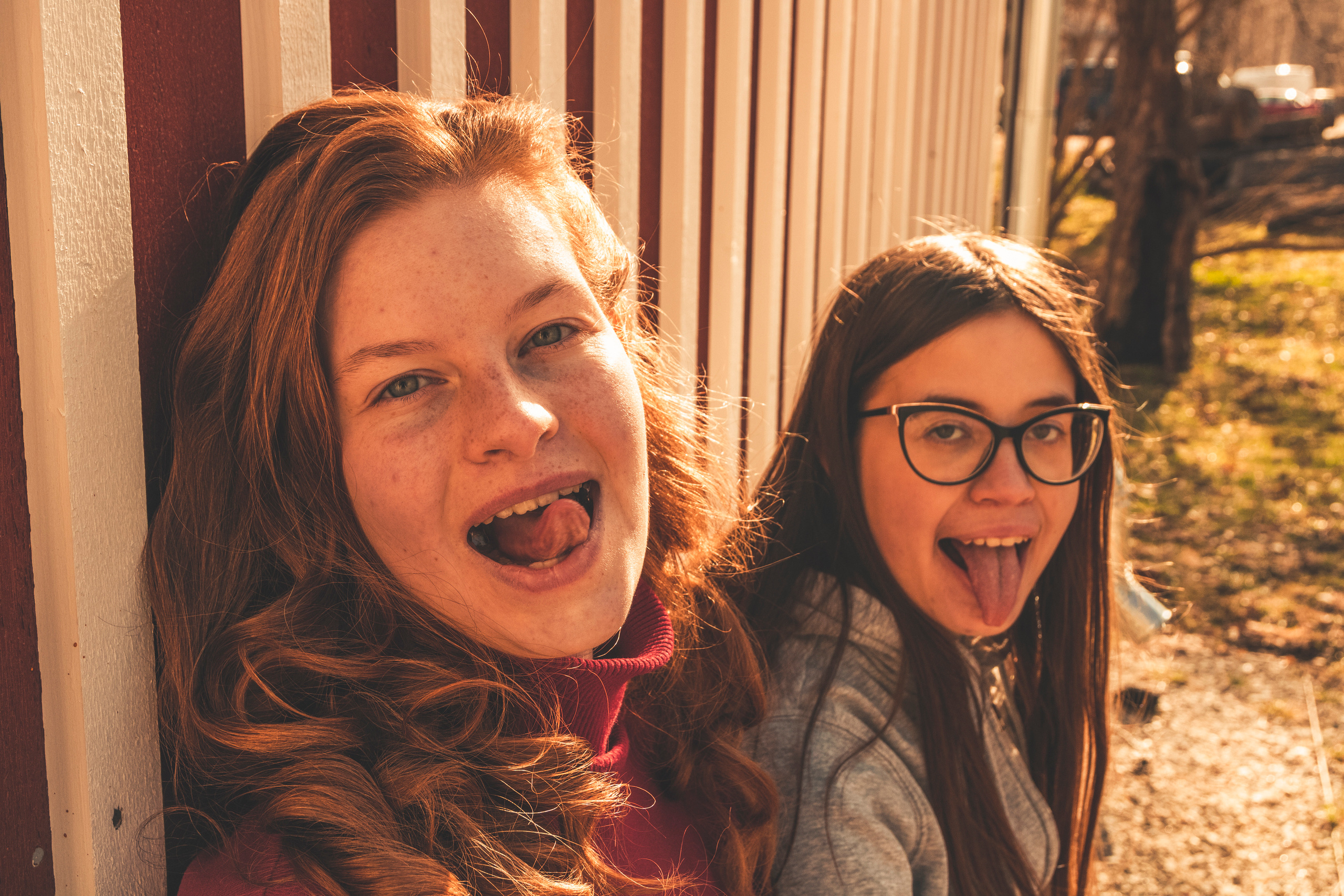 Rongisõit Turbasse (sõpruskond). Nebula 25 — Fotod teie hingele