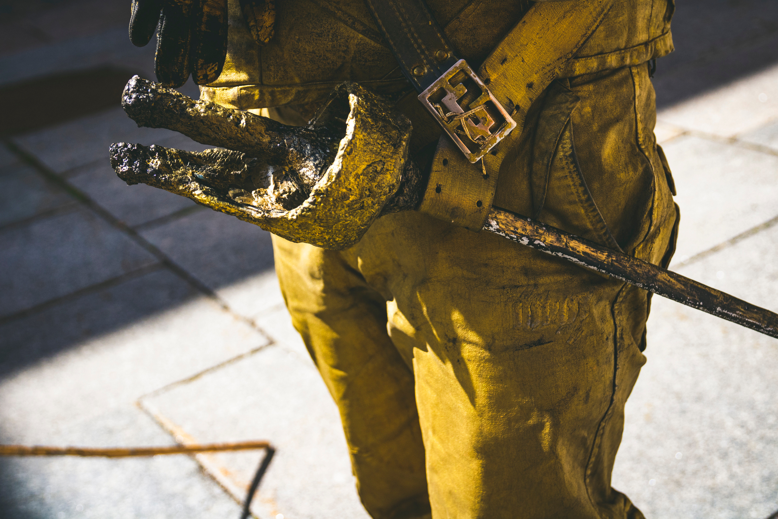 Kuldne komandör (Aleksei). Nebula 25 — Fotod teie hingele