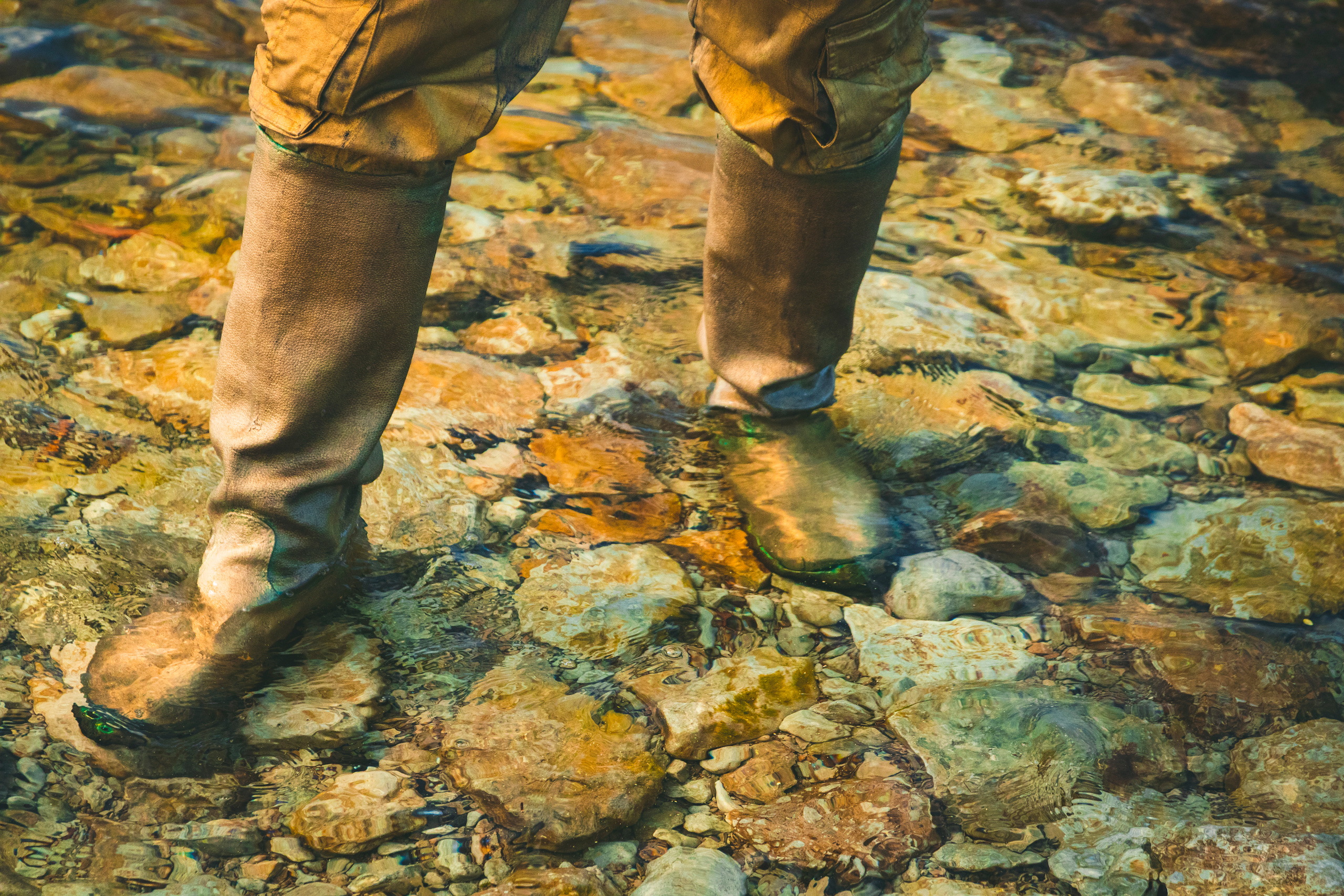 Kuldne komandör (Aleksei). Nebula 25 — Fotod teie hingele