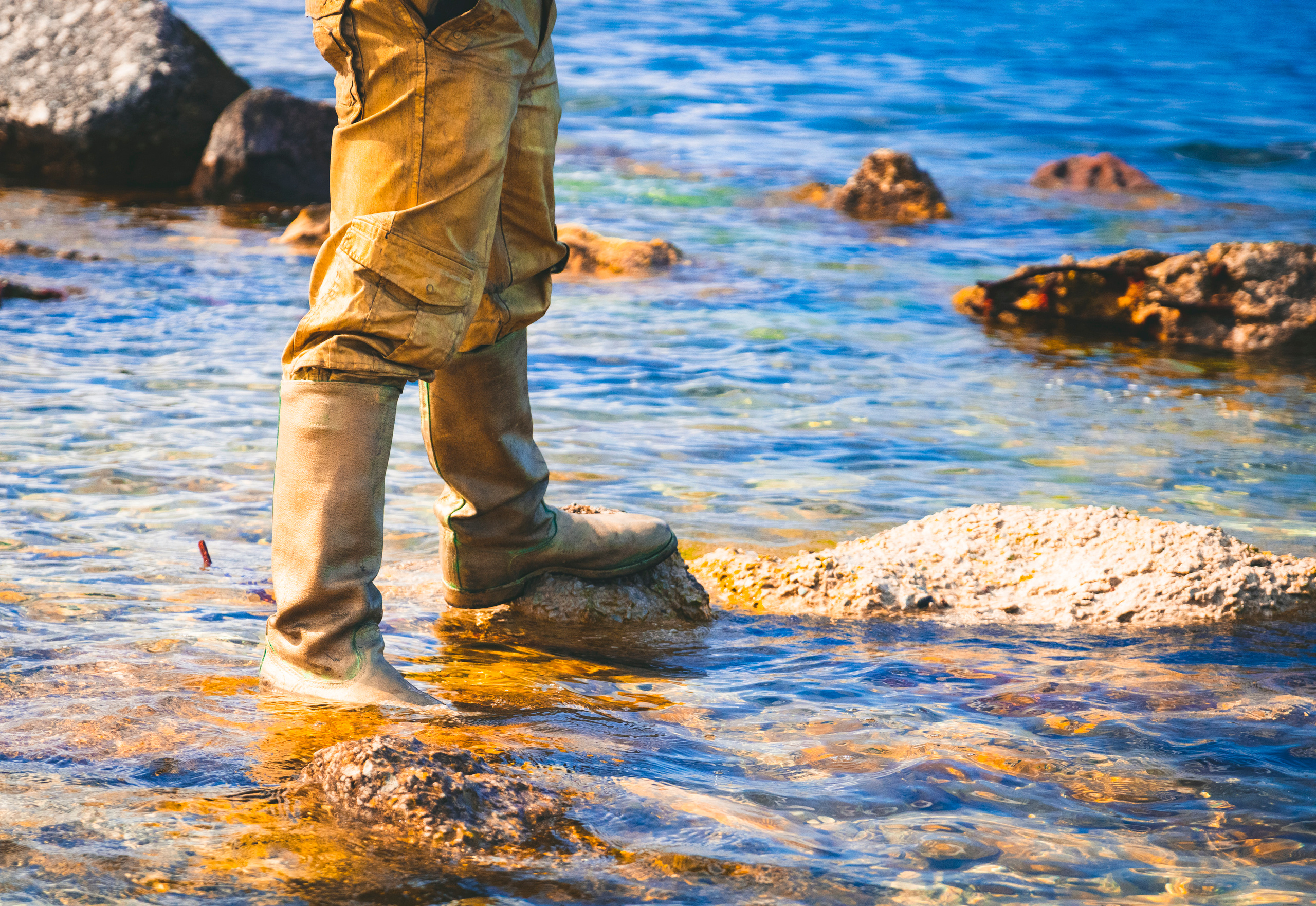 Kuldne komandör (Aleksei). Nebula 25 — Fotod teie hingele