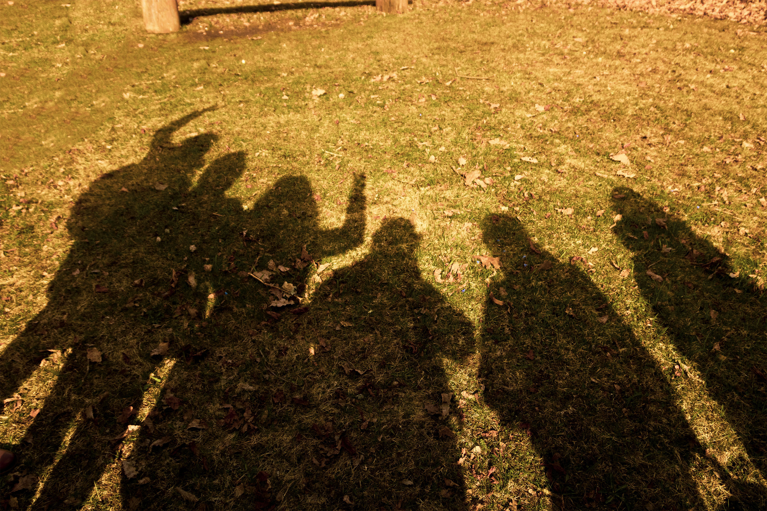 Rongisõit Turbasse (sõpruskond). Nebula 25 — Fotod teie hingele