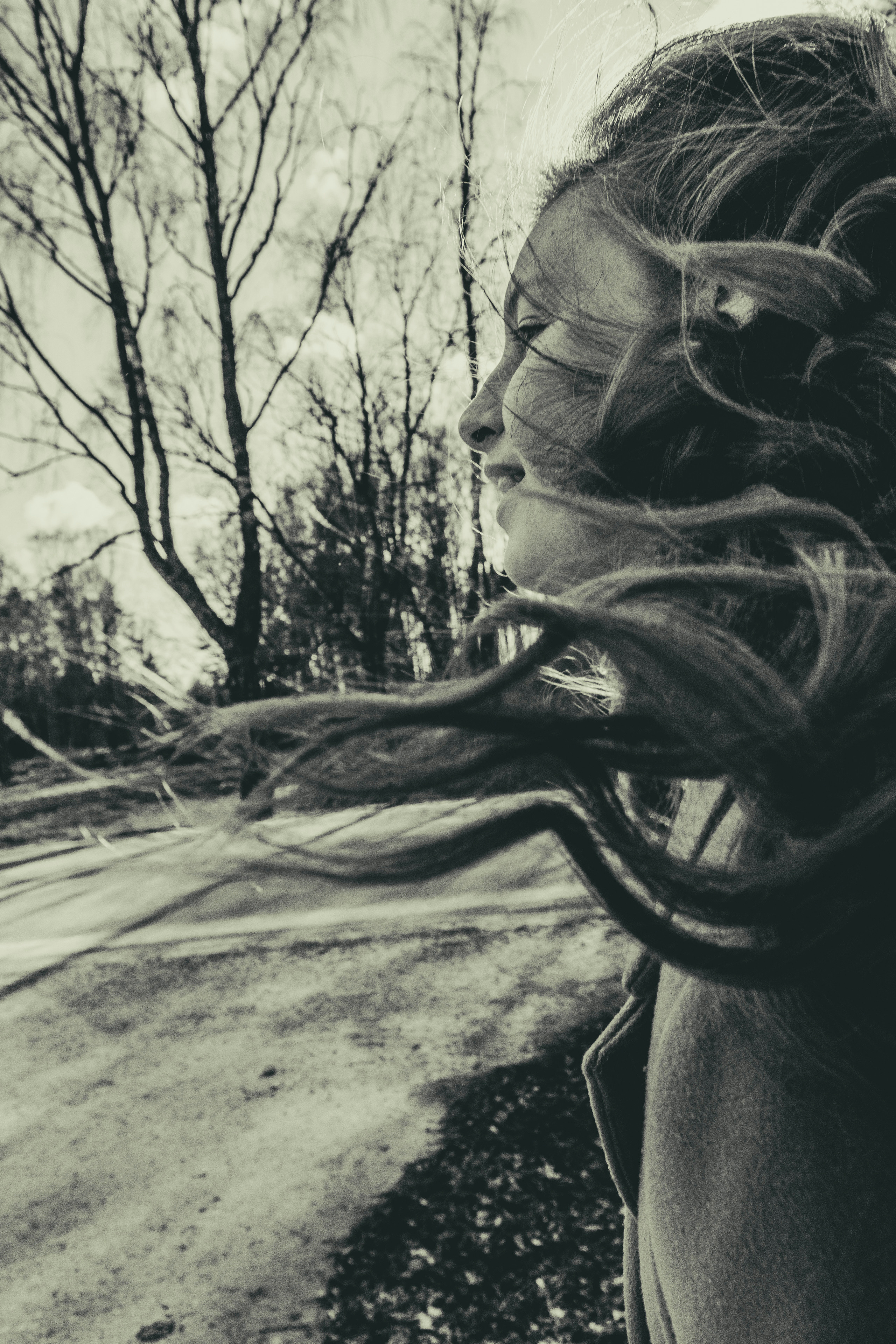 Rongisõit Turbasse (sõpruskond). Nebula 25 — Fotod teie hingele