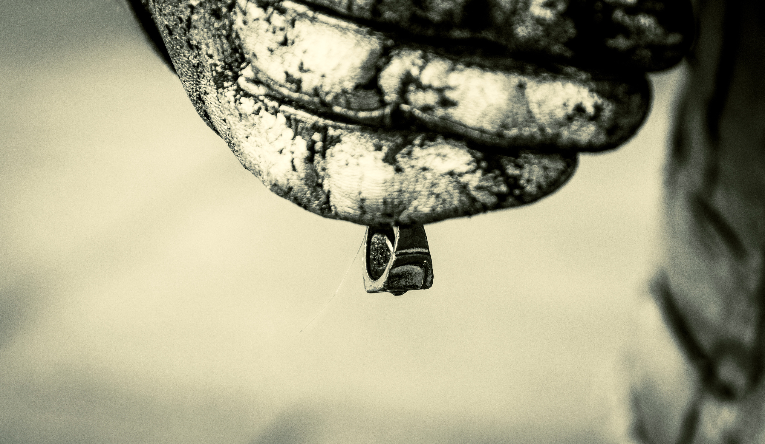 Kuldne komandör (Aleksei). Nebula 25 — Fotod teie hingele
