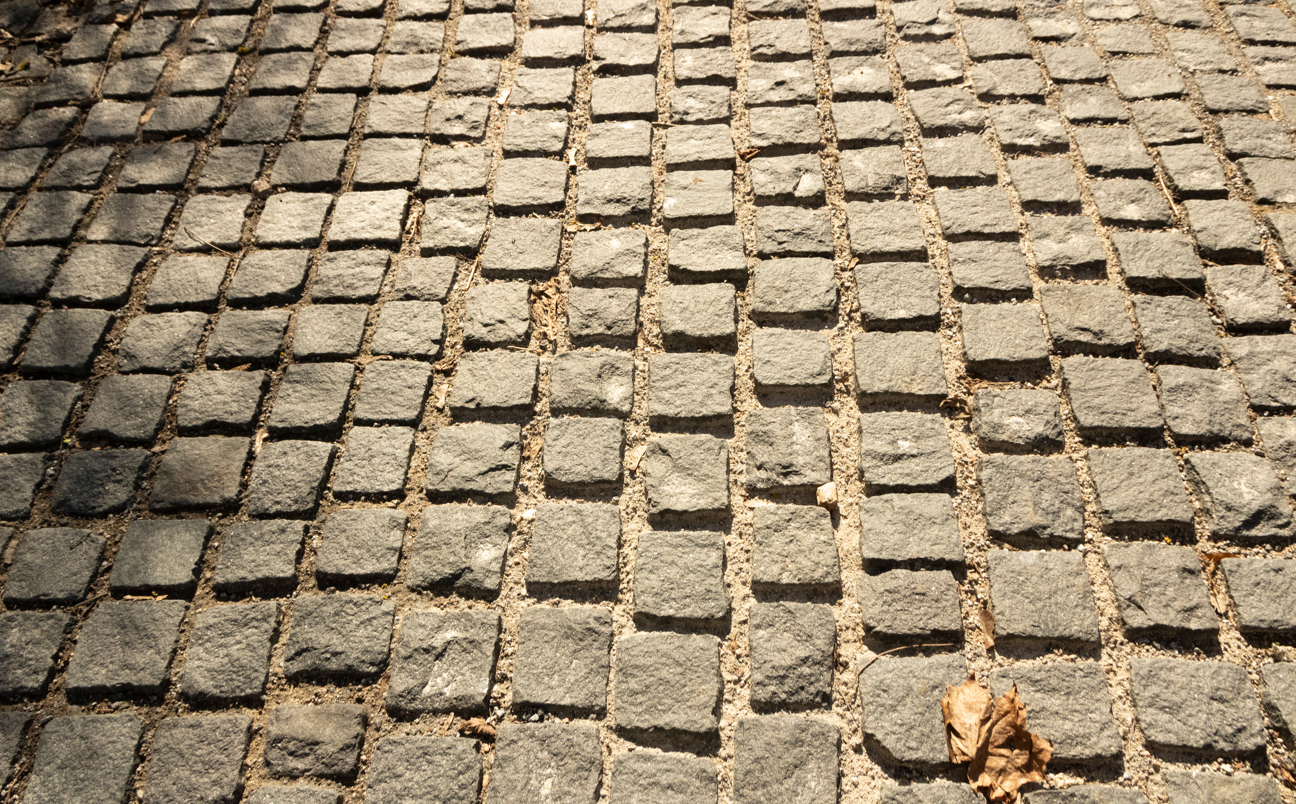 Brothers & Sisters (Anastassija ja Erik G.). Nebula 25 — Fotod teie hingele