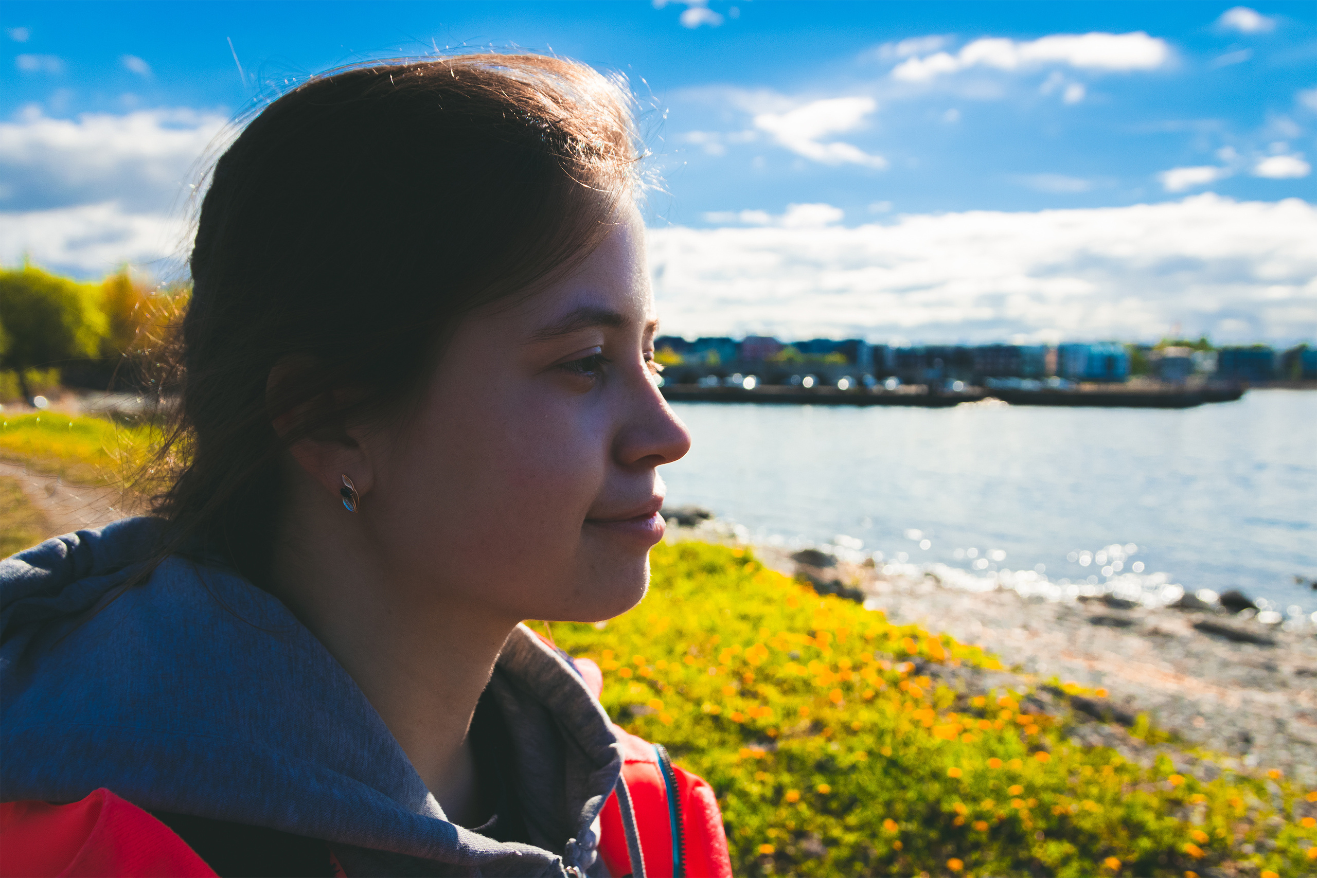 Kuldne komandör (Aleksei). Nebula 25 — Fotod teie hingele