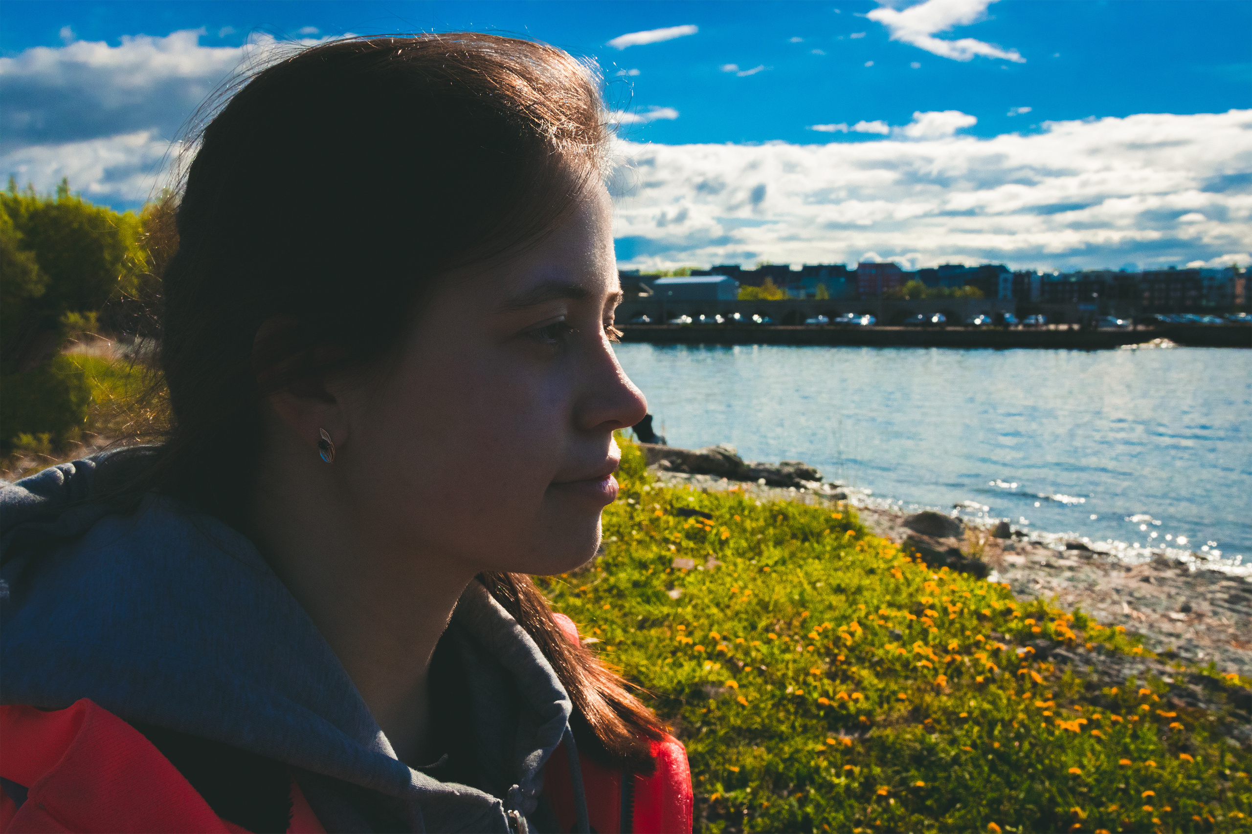 Kuldne komandör (Aleksei). Nebula 25 — Fotod teie hingele