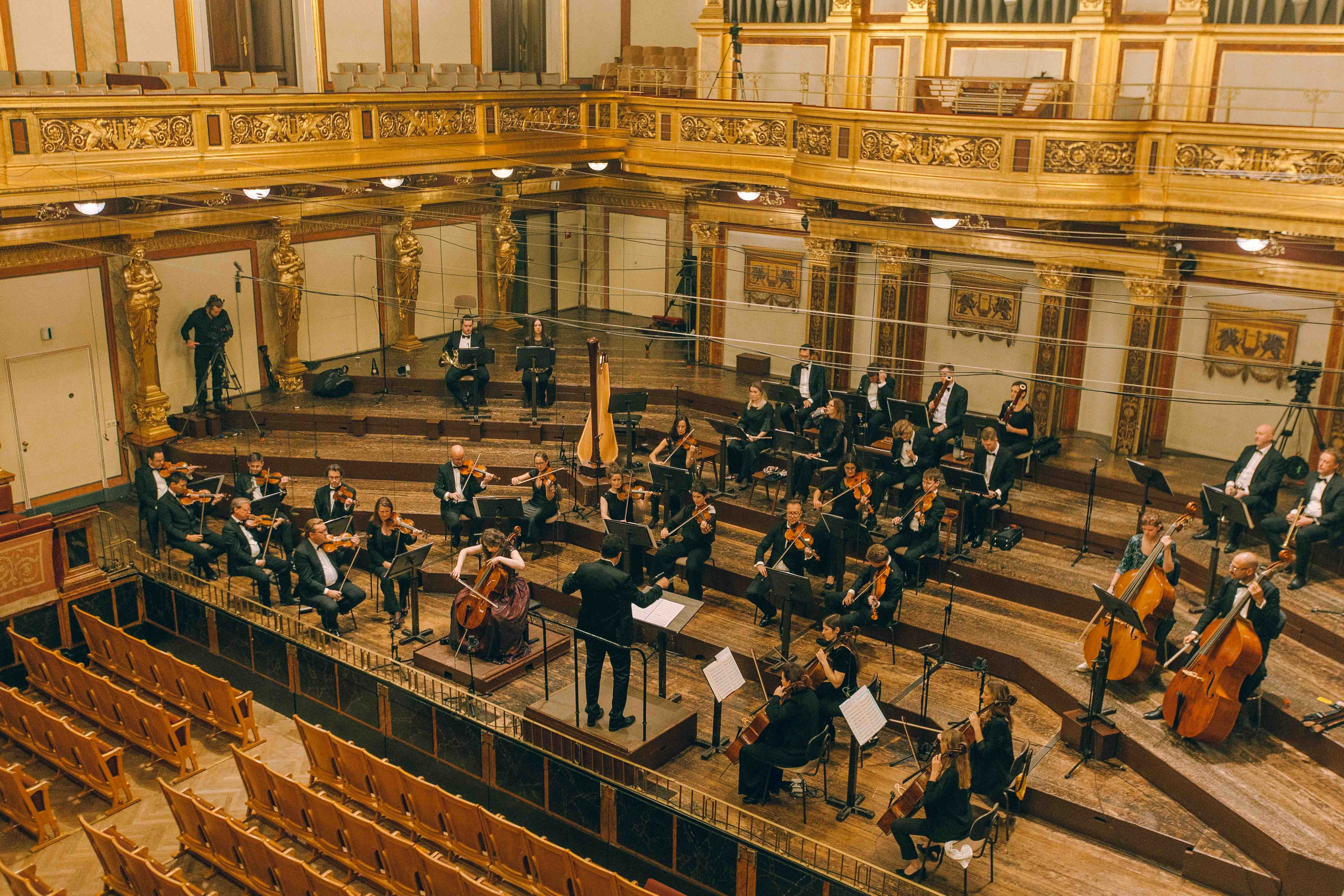 MUSIKVEREIN (VIENNA). Wedding&Event photographer Ismail Rzayev in Baku