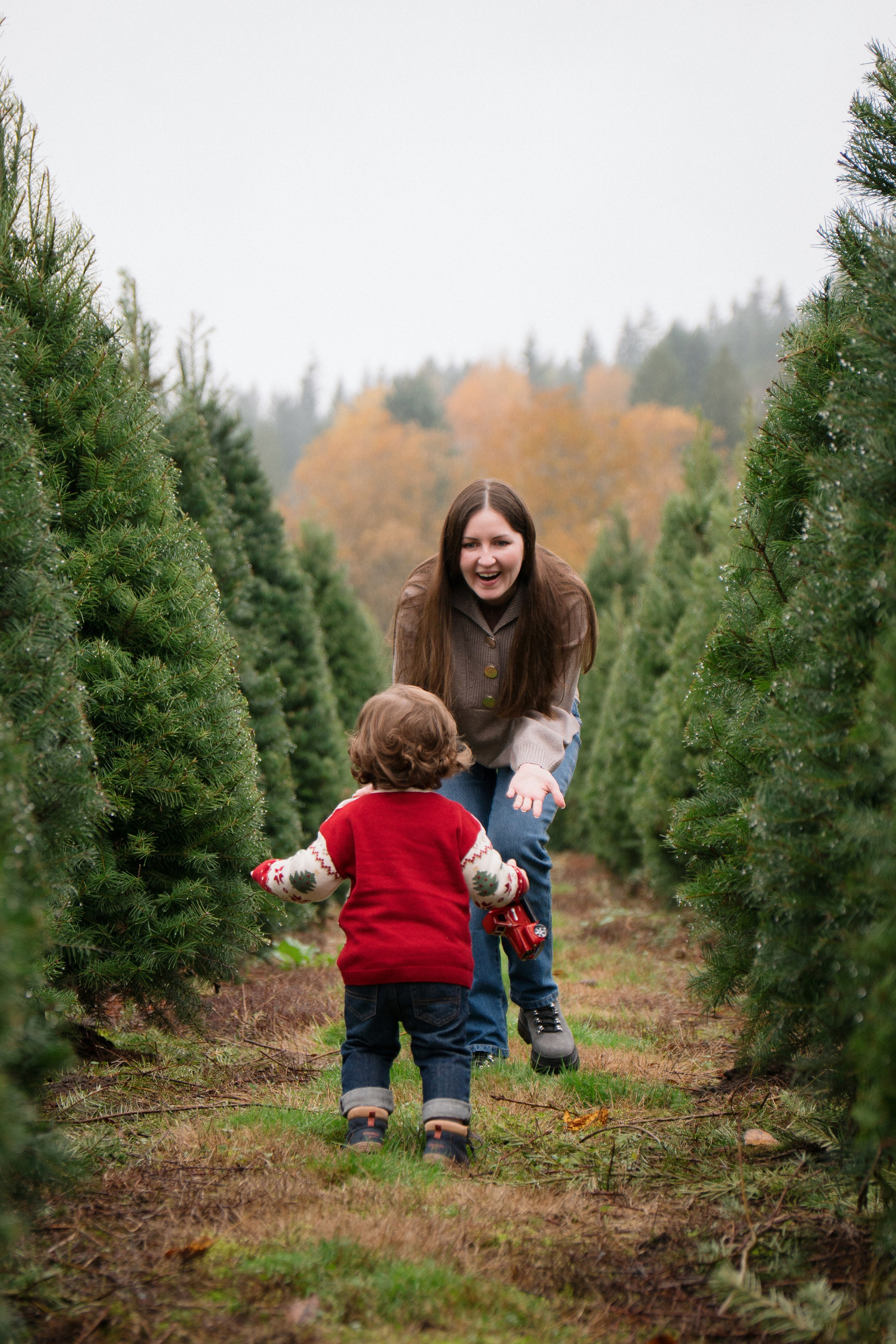 Christmas sessions. Photographer in Washington Sophia D