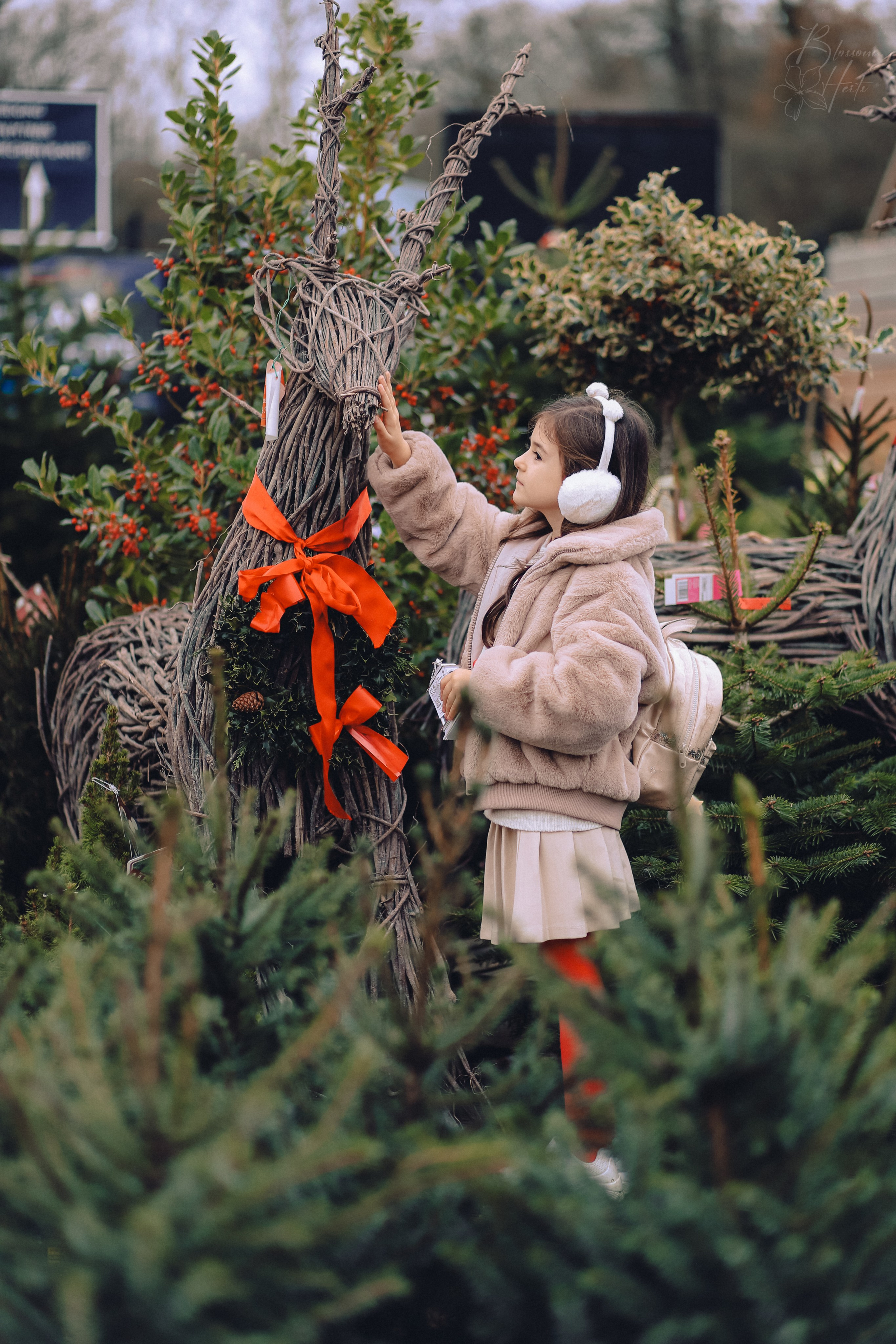 Christmas is coming. Family & children’s photographer in Herts & West London Iryna Blair