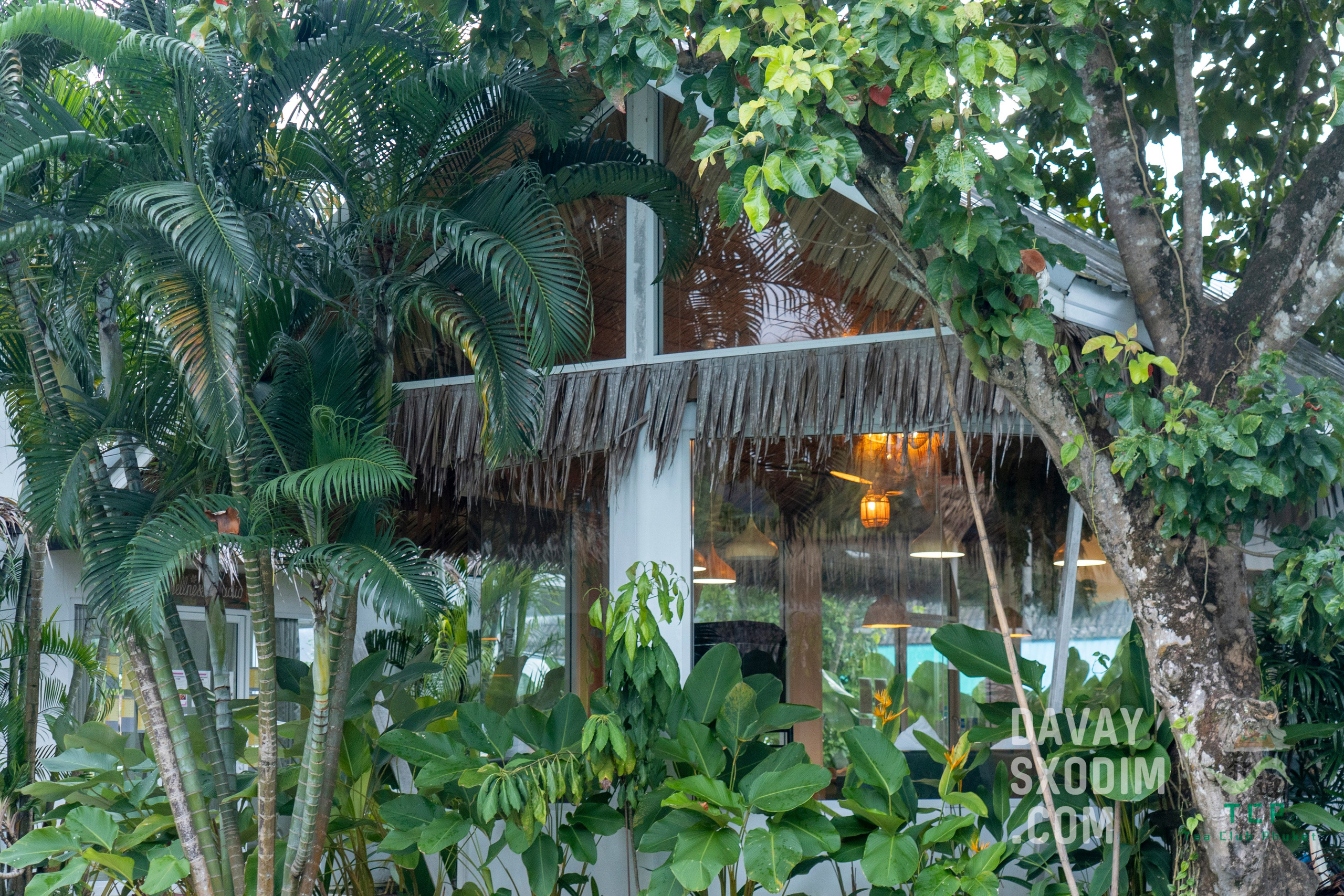 Чайный Нетворкинг | Фоторепортаж | Афиша | DAVAYSXODIM.com PHUKET. АФИША|ФОТОРЕПОРТАЖИ|ИВЕНТЫ|ПХУКЕТ