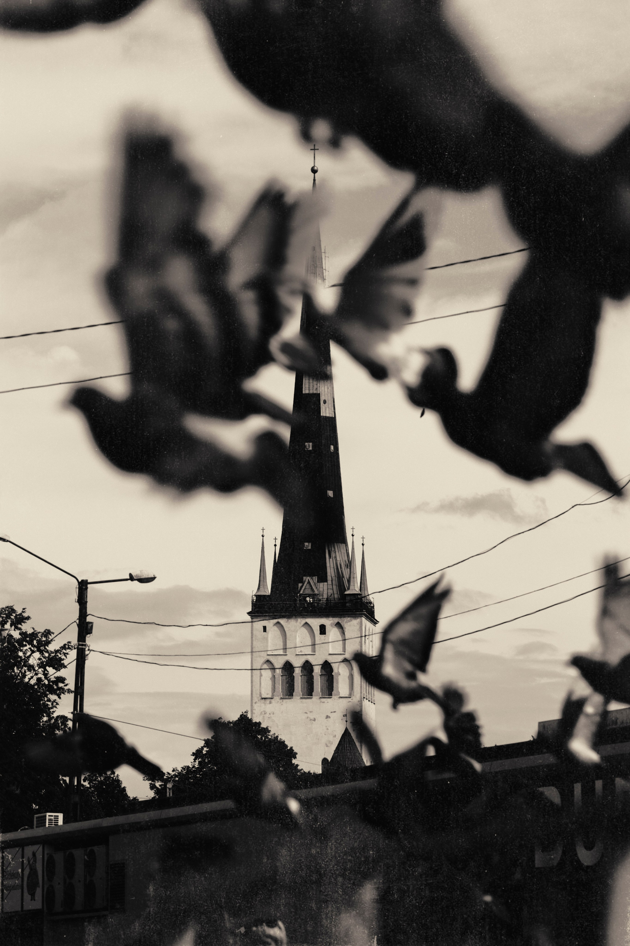 Street. Anton Serdjukov Photography