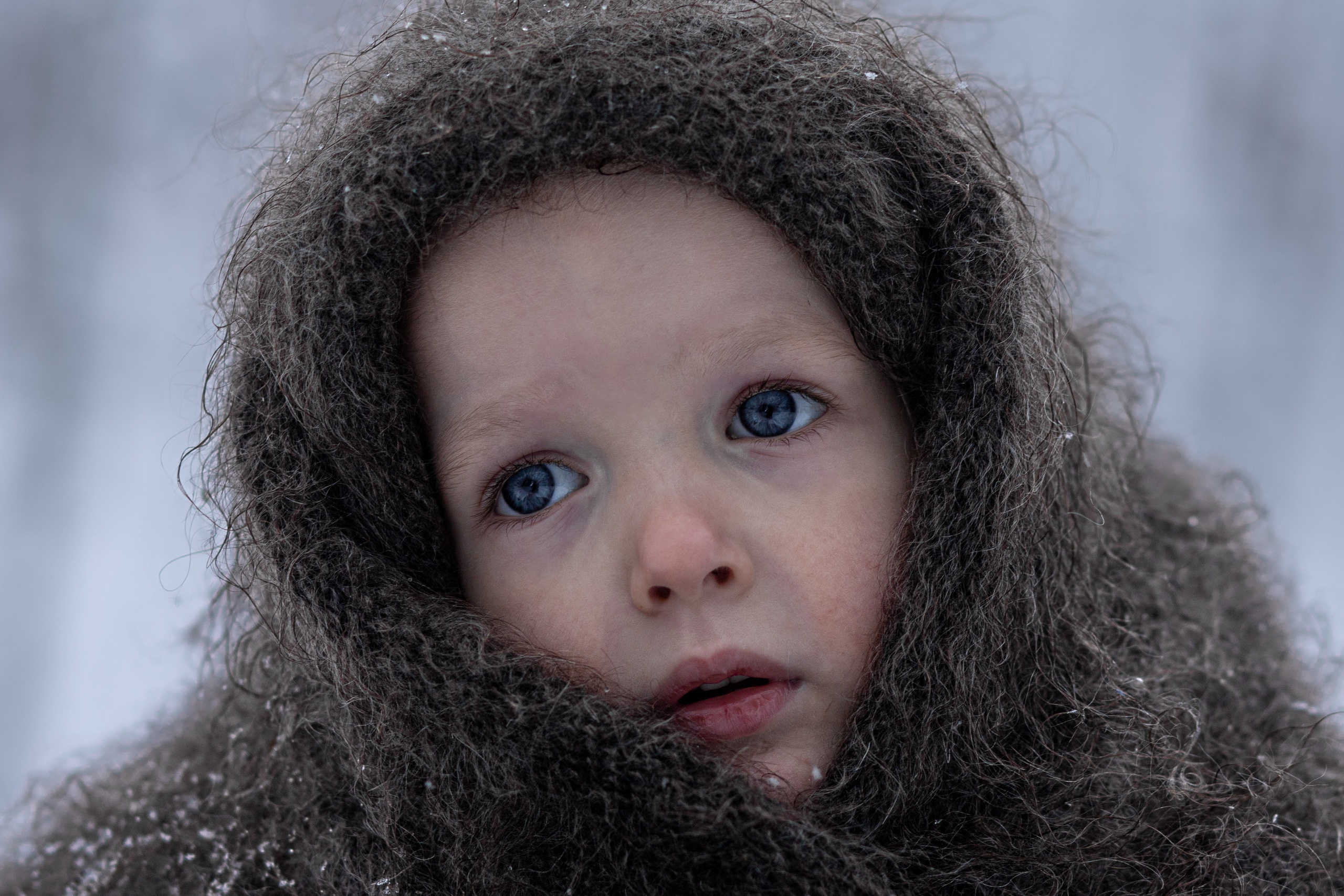 Ein Weihnachtsmärchen. Olena Fritz Fotografie