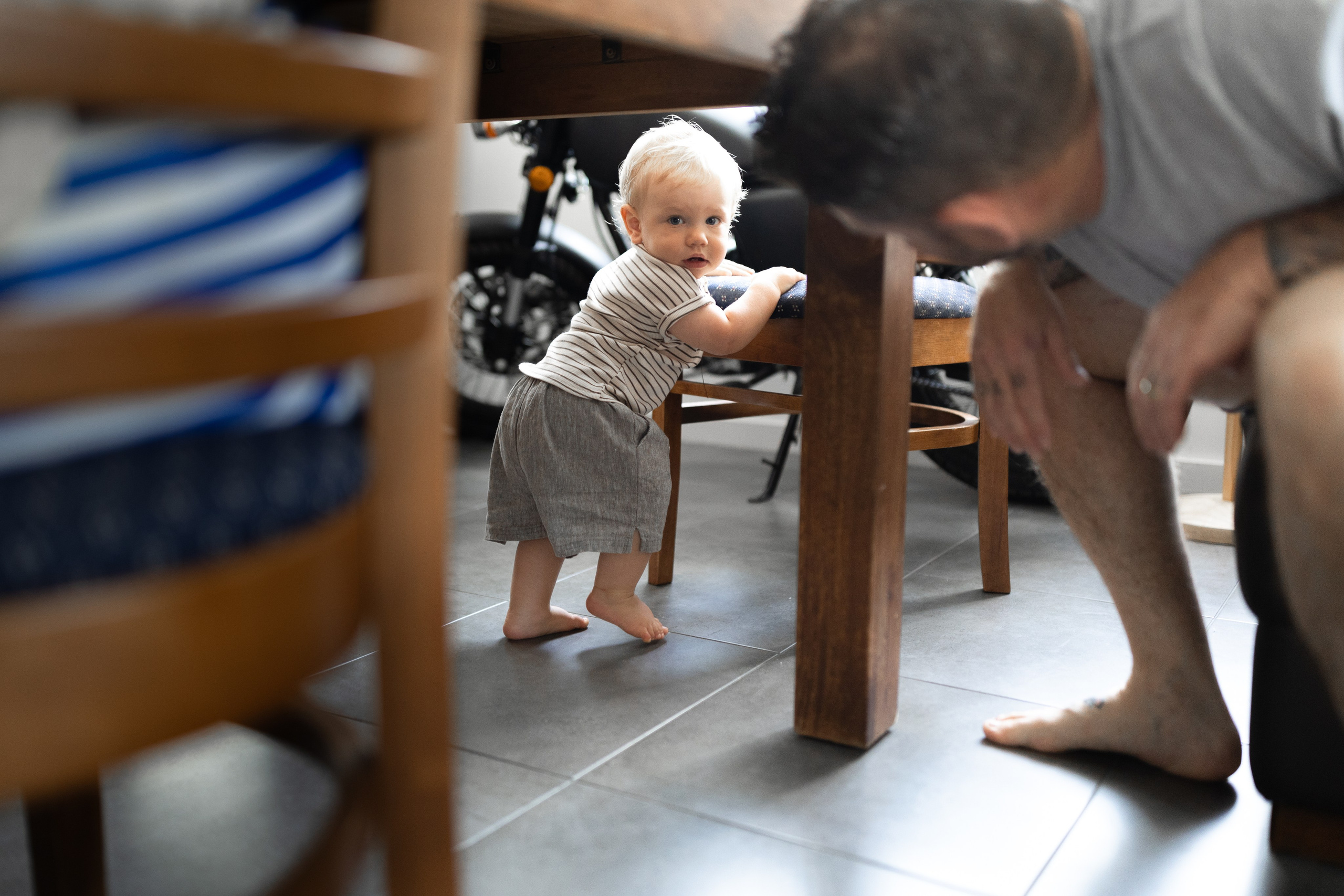 Photos from different family photoshoots