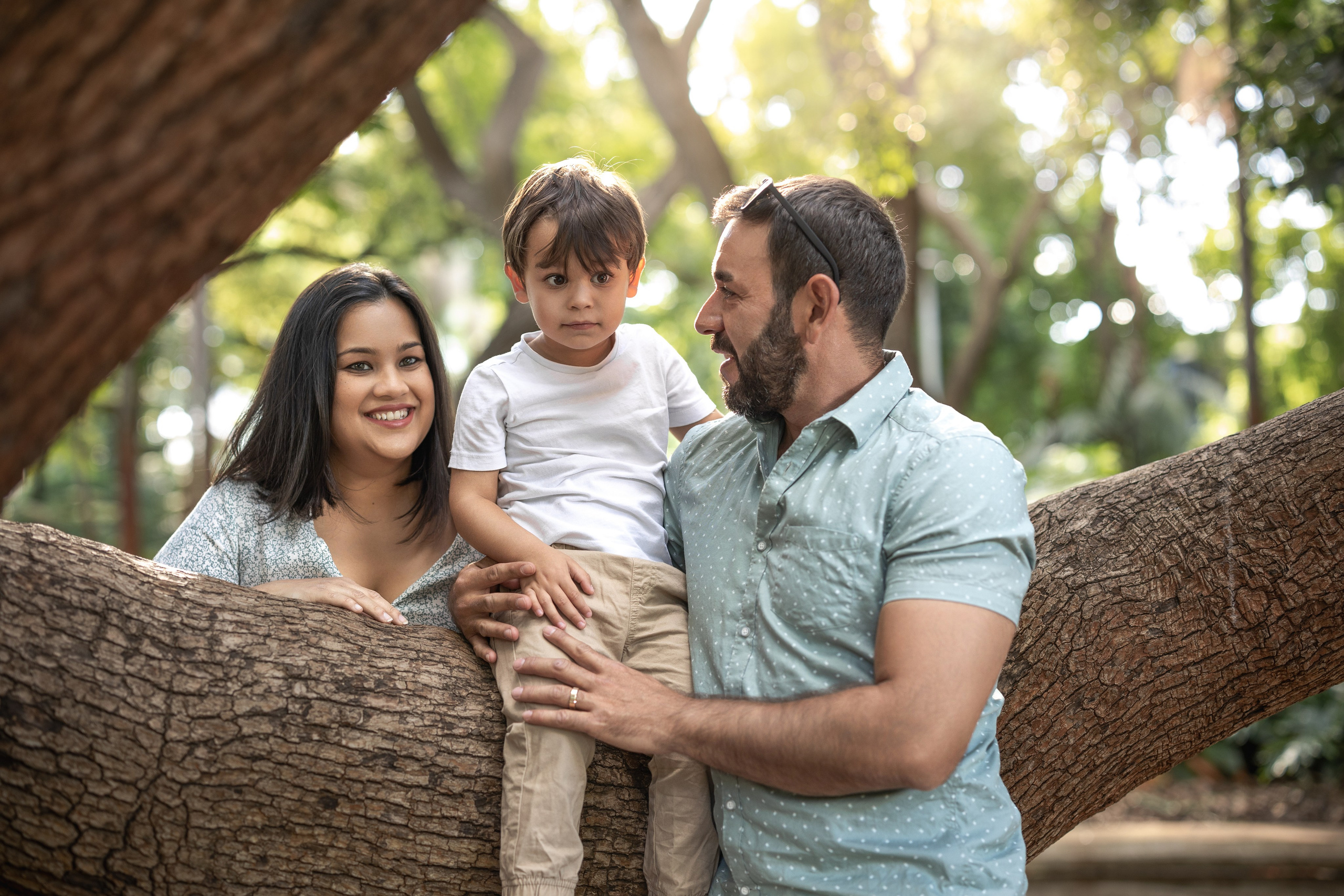 Photos from different family photoshoots