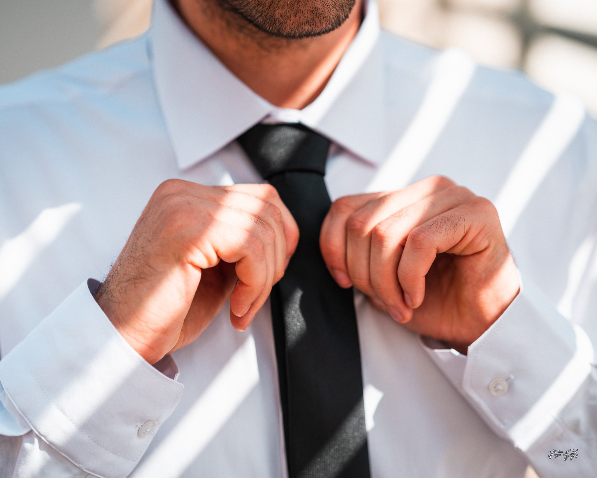 Daniela & Cristi | Civil Wedding. Fotografie & Videografie de nuntă în Timișoara