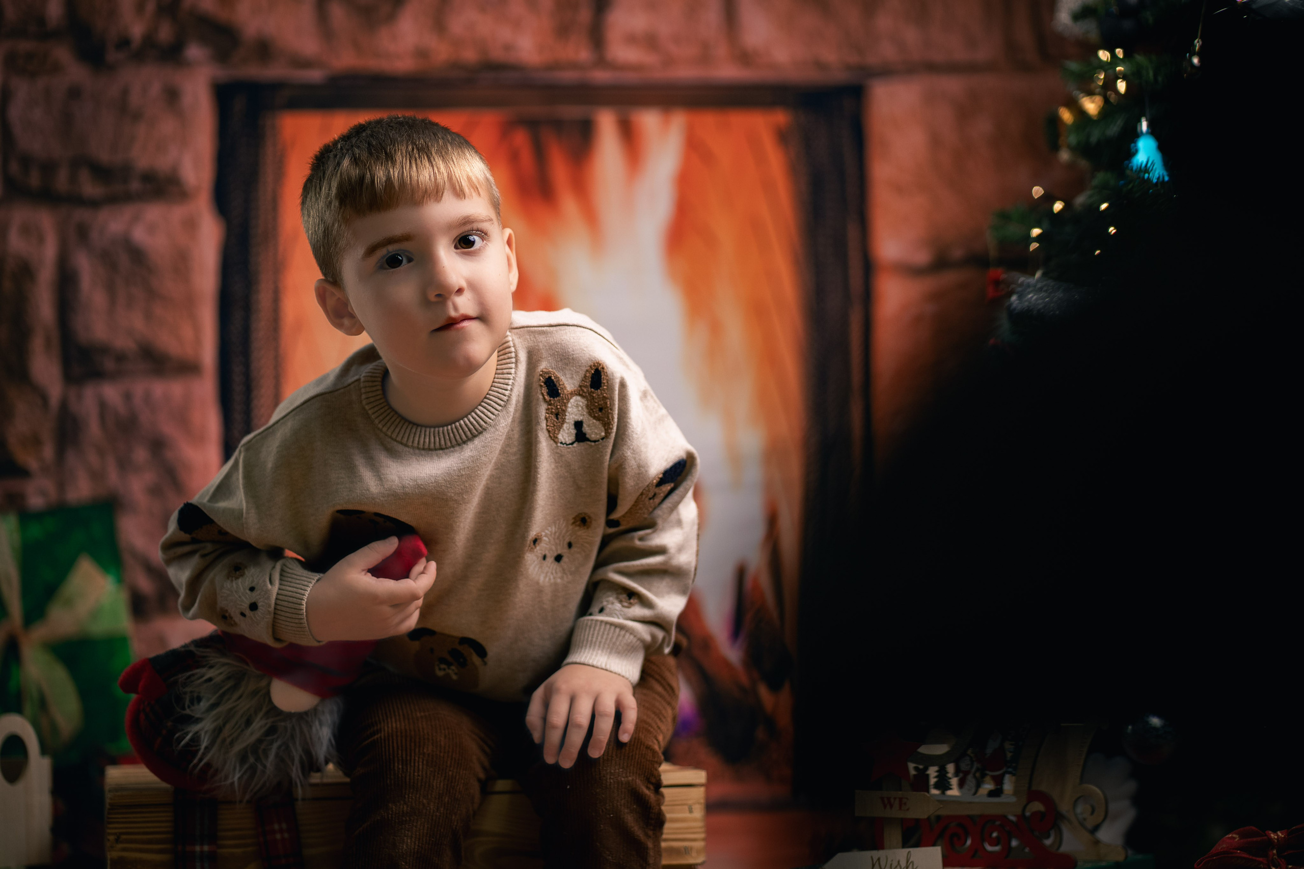 Sedinta foto Craciun — Gradinita Miniterra. Liviu Andrei - Fotograf