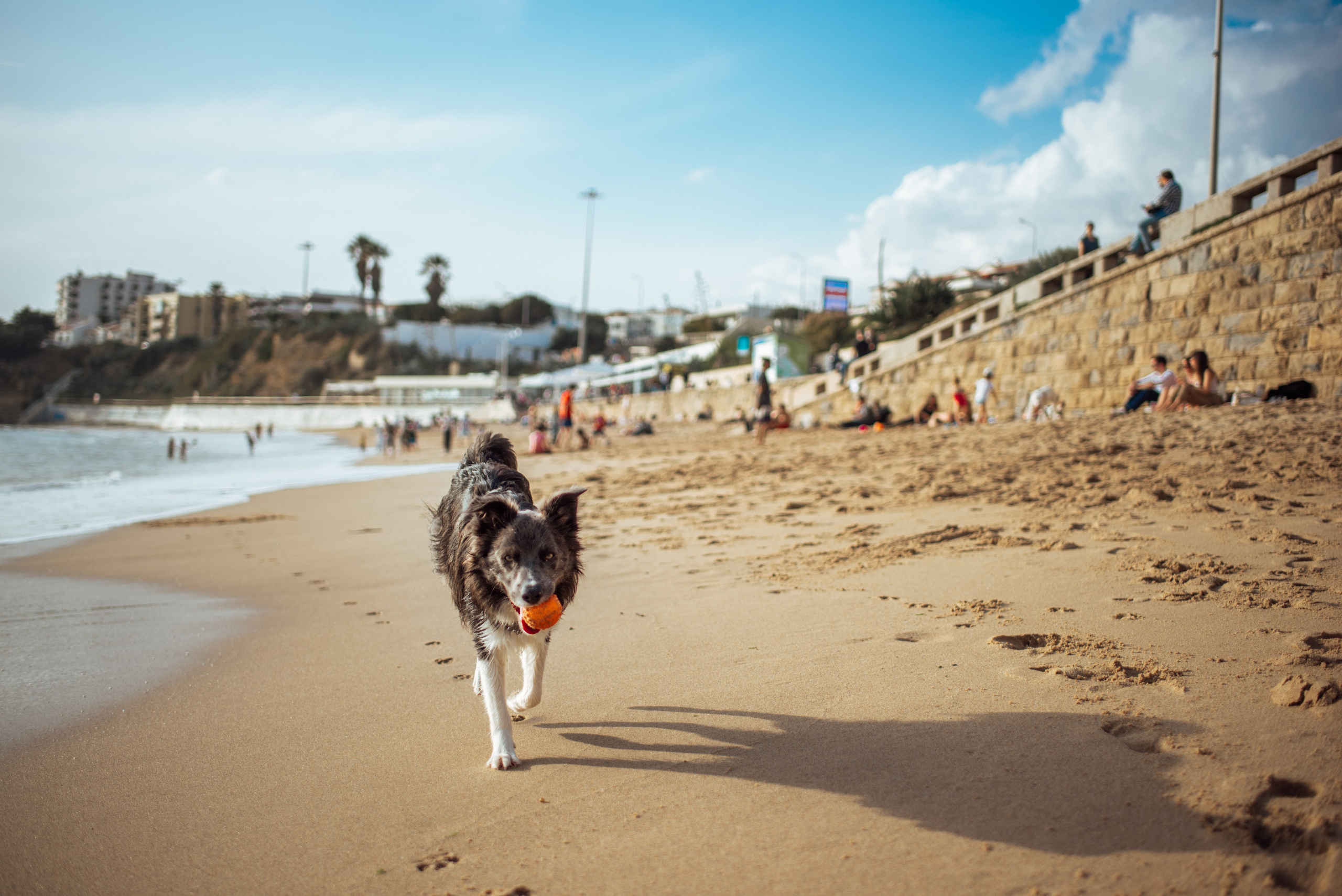 Jógový pobyt v Portugalsku 2024. Mateřství. Nevýchova. Život v souladu s přírodou. Jóga