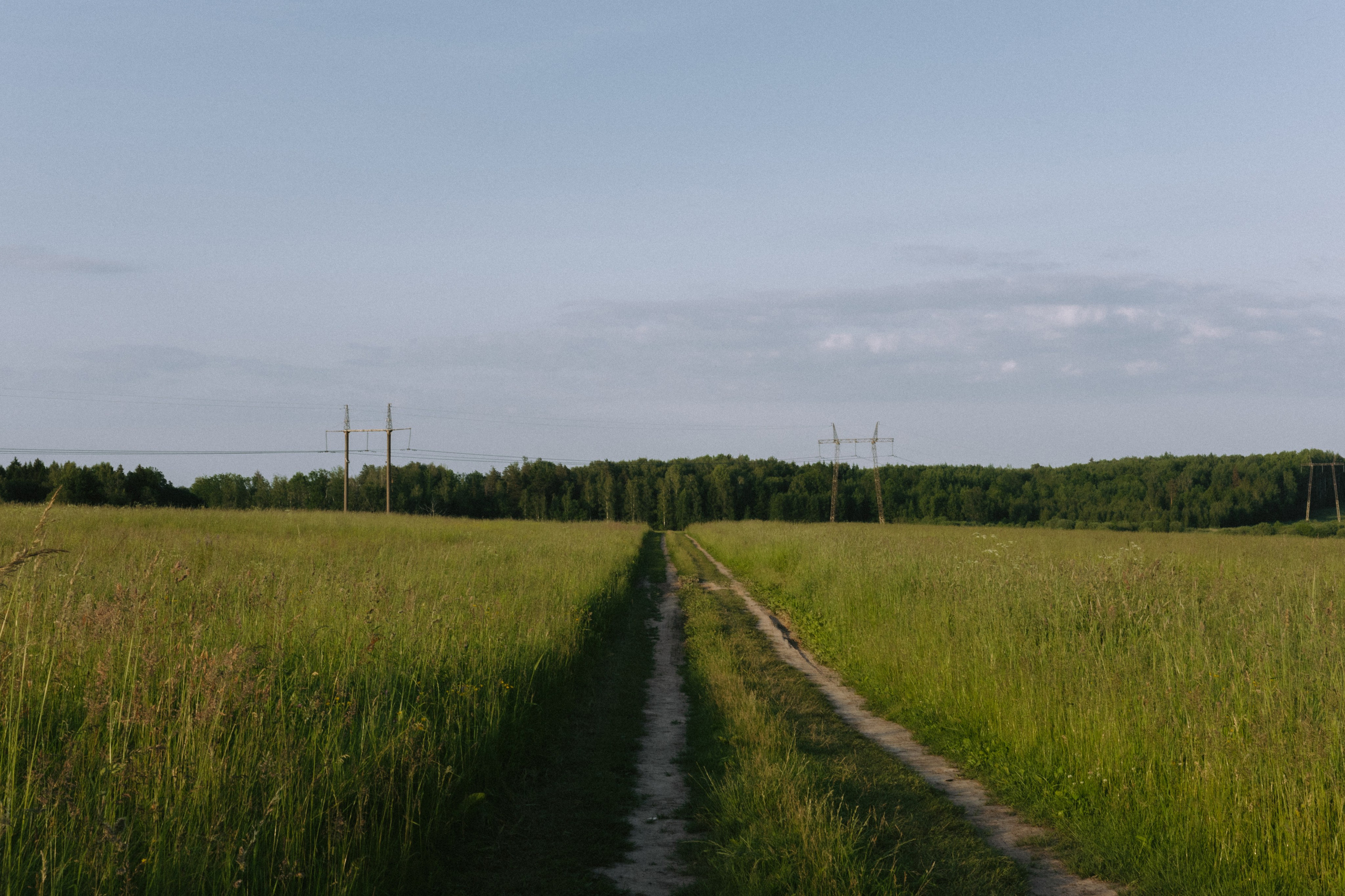 Lera & Maksim | laukimo fotosesija pievoje saulei besileidžiant. Vestuvių ir šeimų fotografė Lena Bondarenko / belove photo
