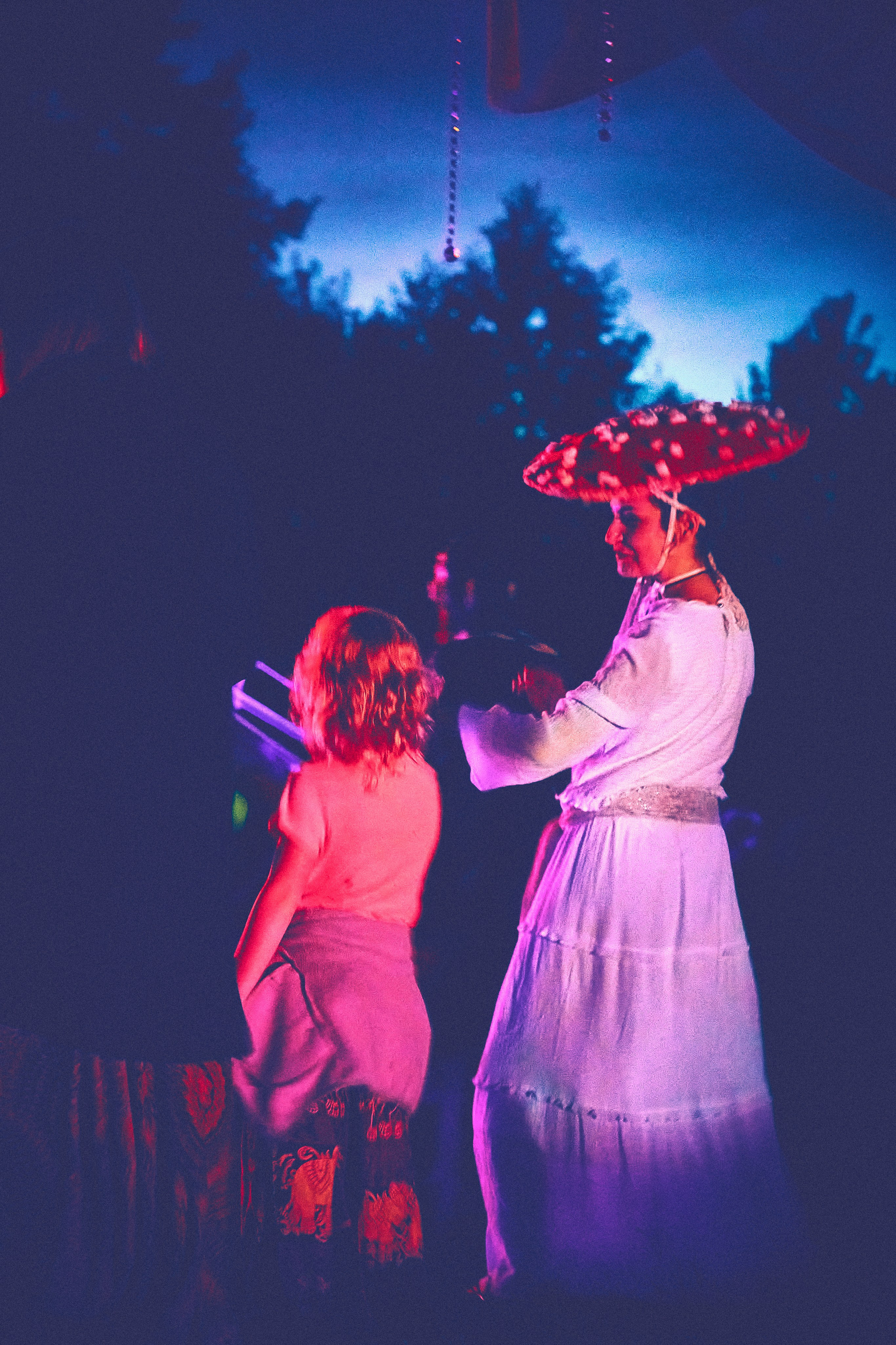 Organic Festival 2024. Андрей Шипилов — Фотография & Видеография