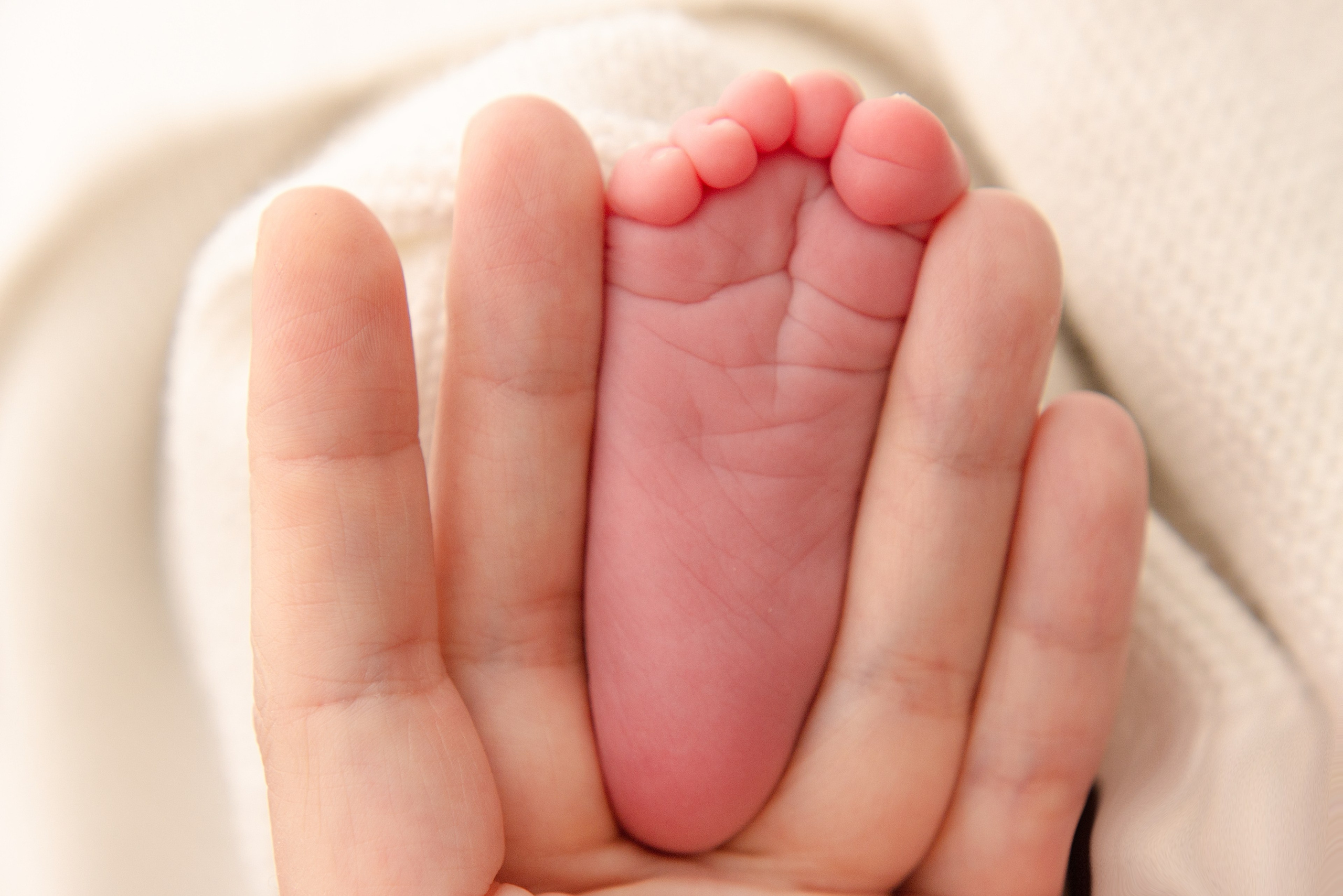 Макросъёмка. Фотограф новорождённых (Newborn) и малышей до года в Латвии и Эстонии | Alina Photo