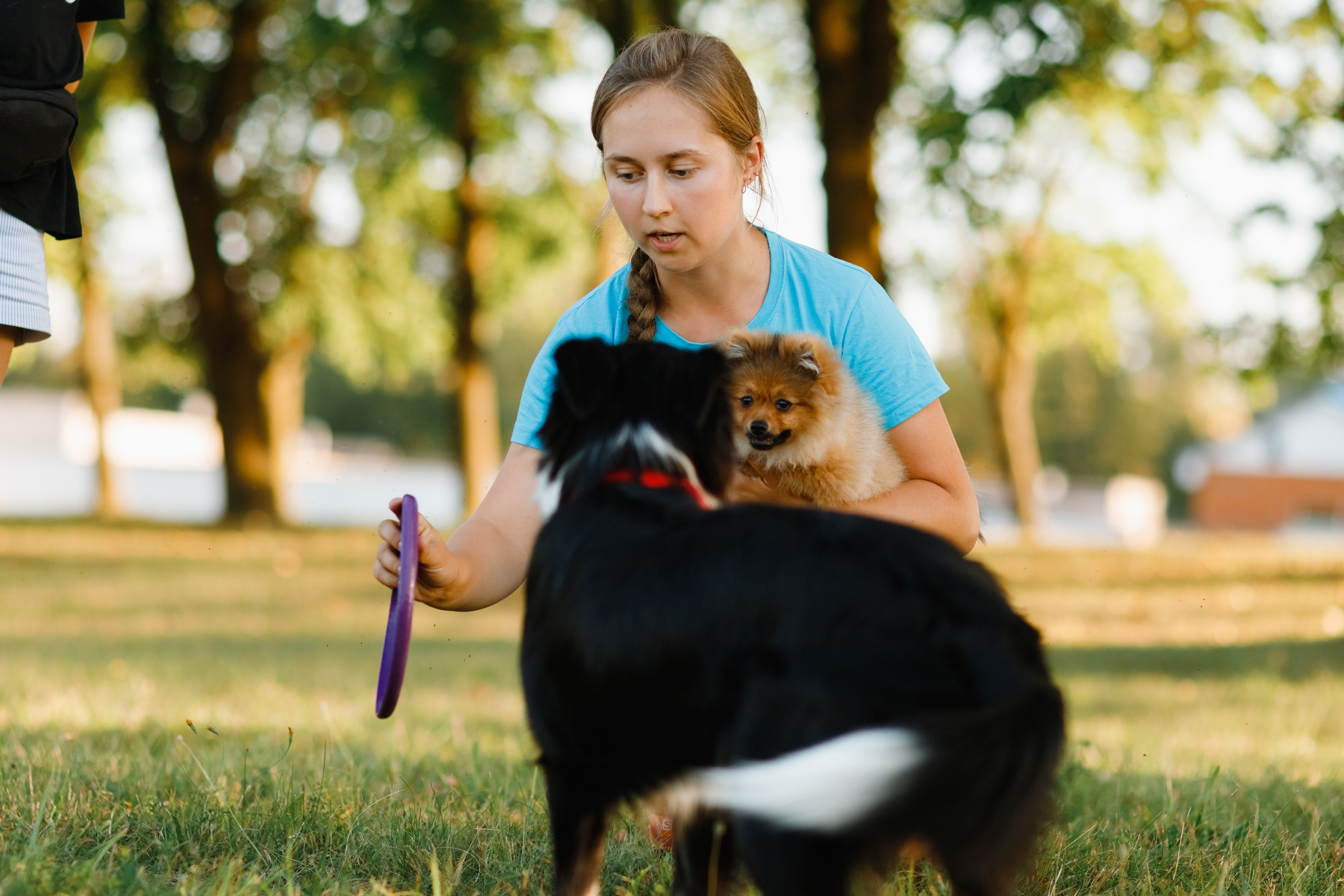 Frisbee workshop of Darya Lukina. Kaja | fotograf we Wrocławiu | ludzie i psy