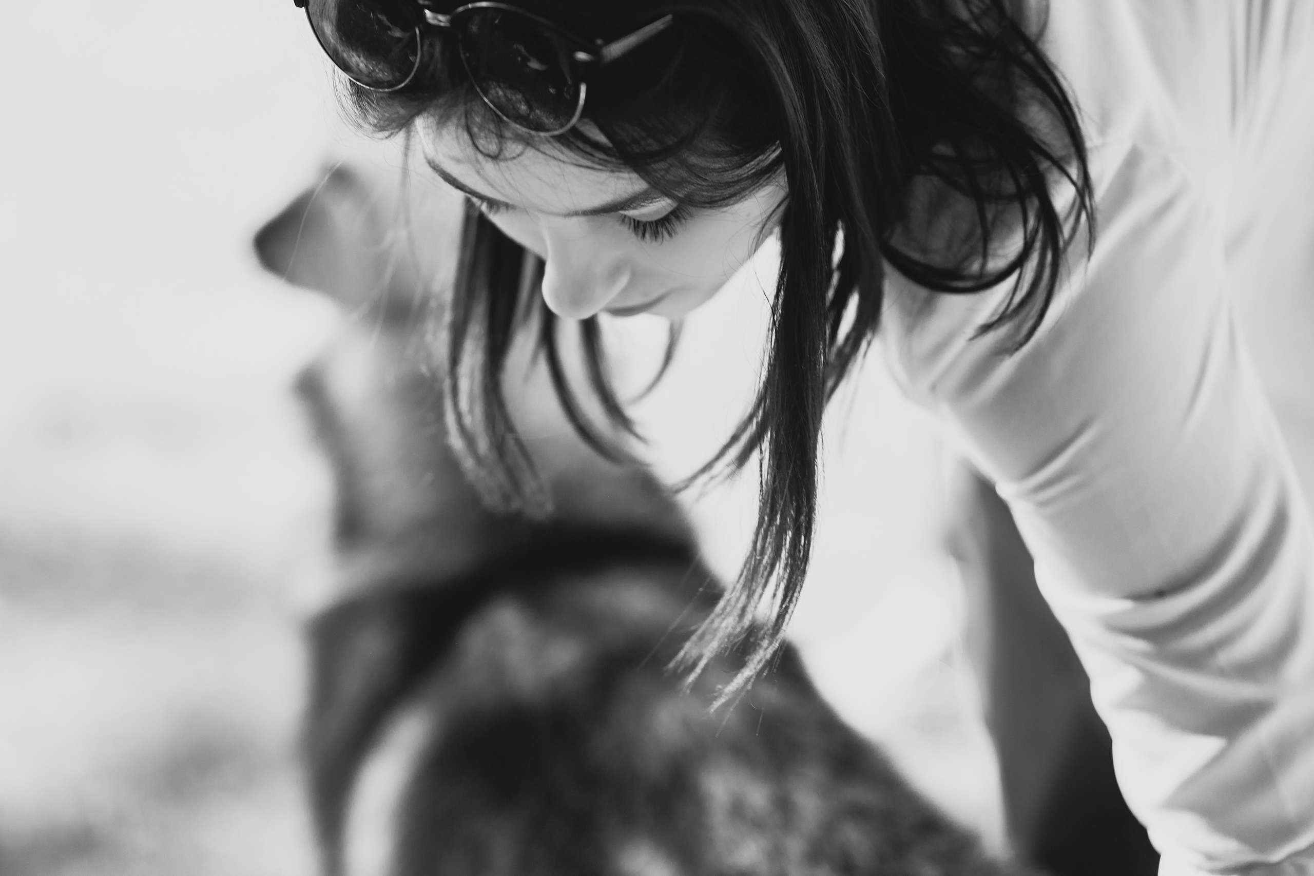 Dog shows | the best ones. Kaja | fotograf psów we Wrocławiu