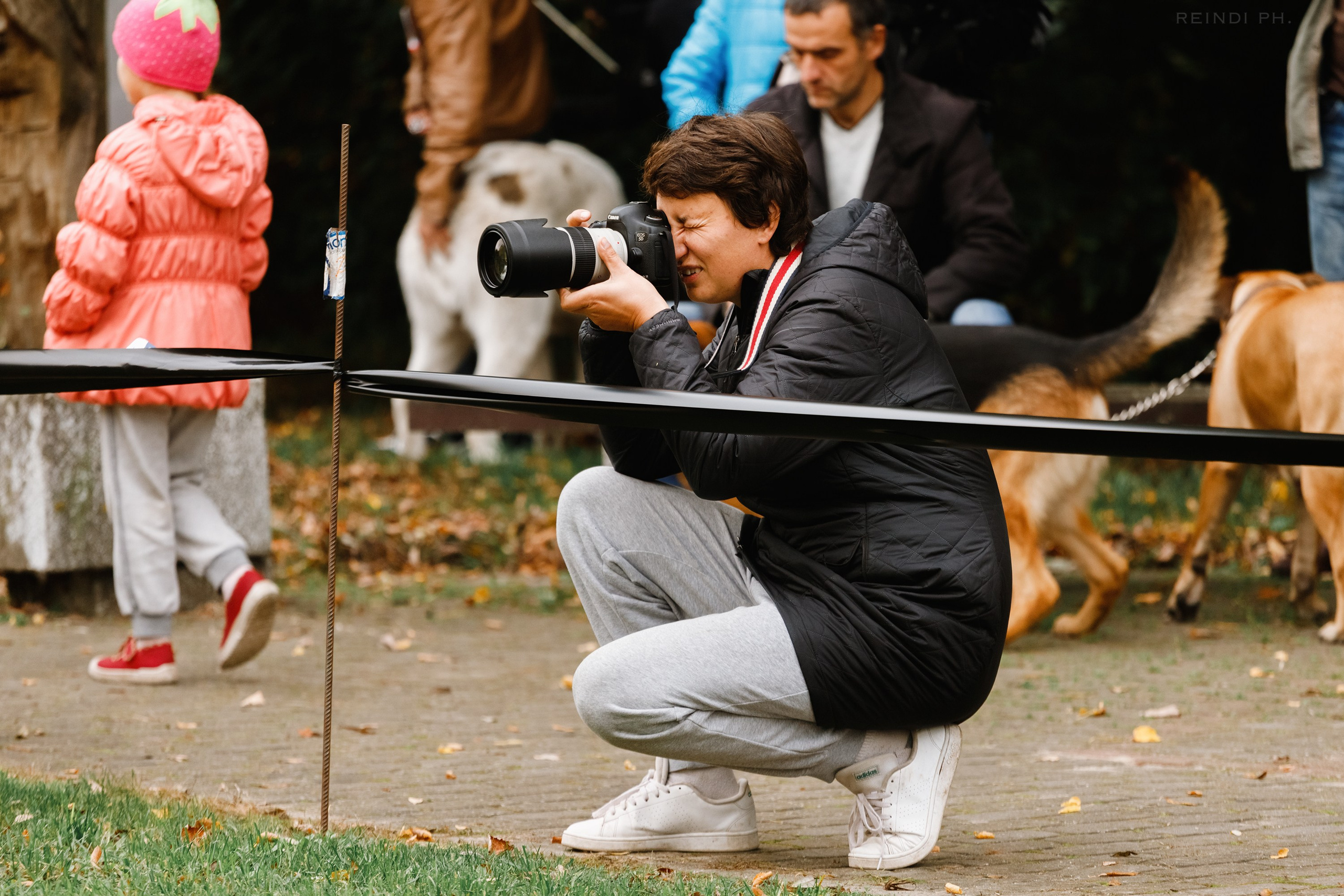 «Argus» dog show in Brest. Kaja | fotograf we Wrocławiu | ludzie i psy