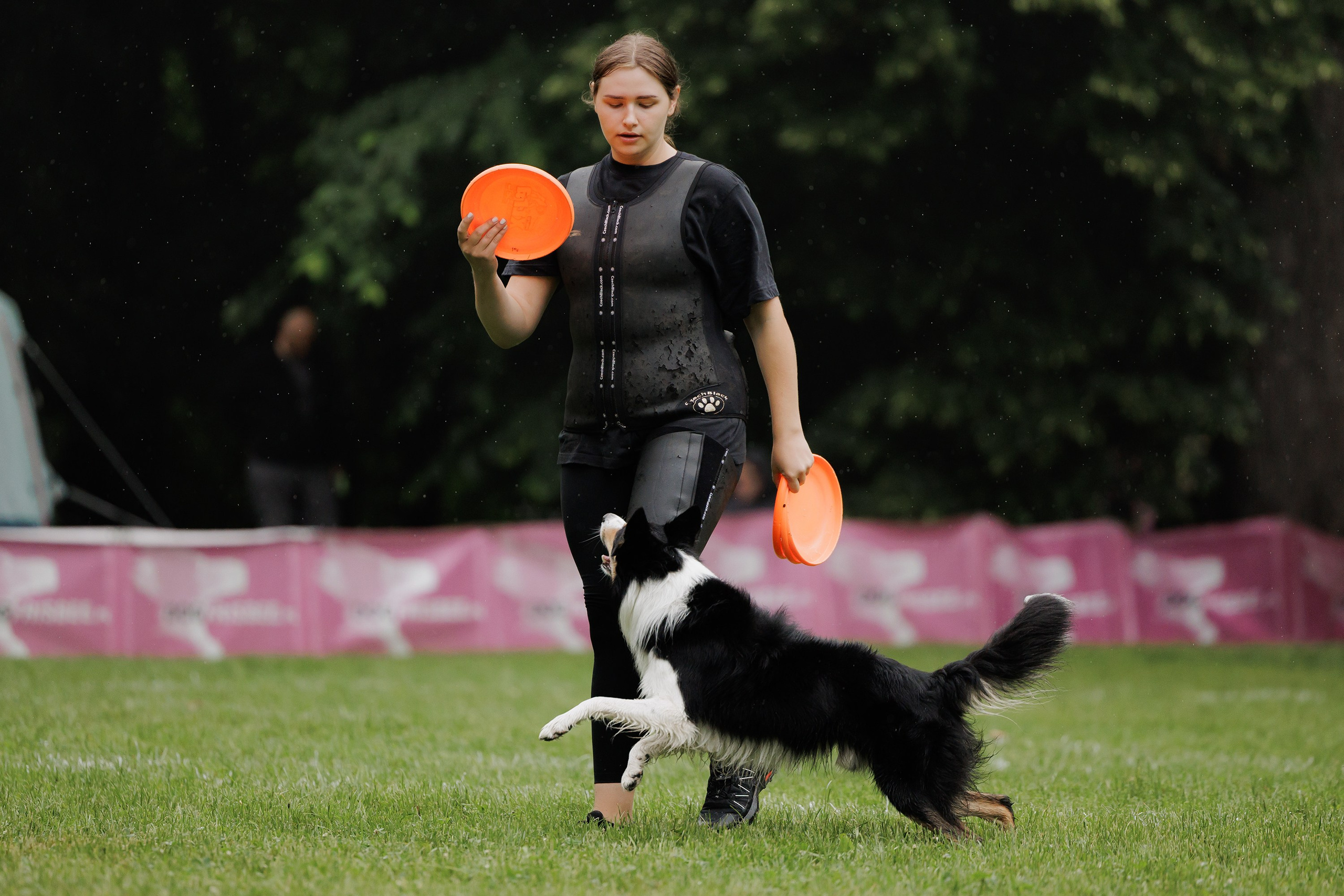 Latające psy, Wrocław'25. Kaja | fotograf psów we Wrocławiu