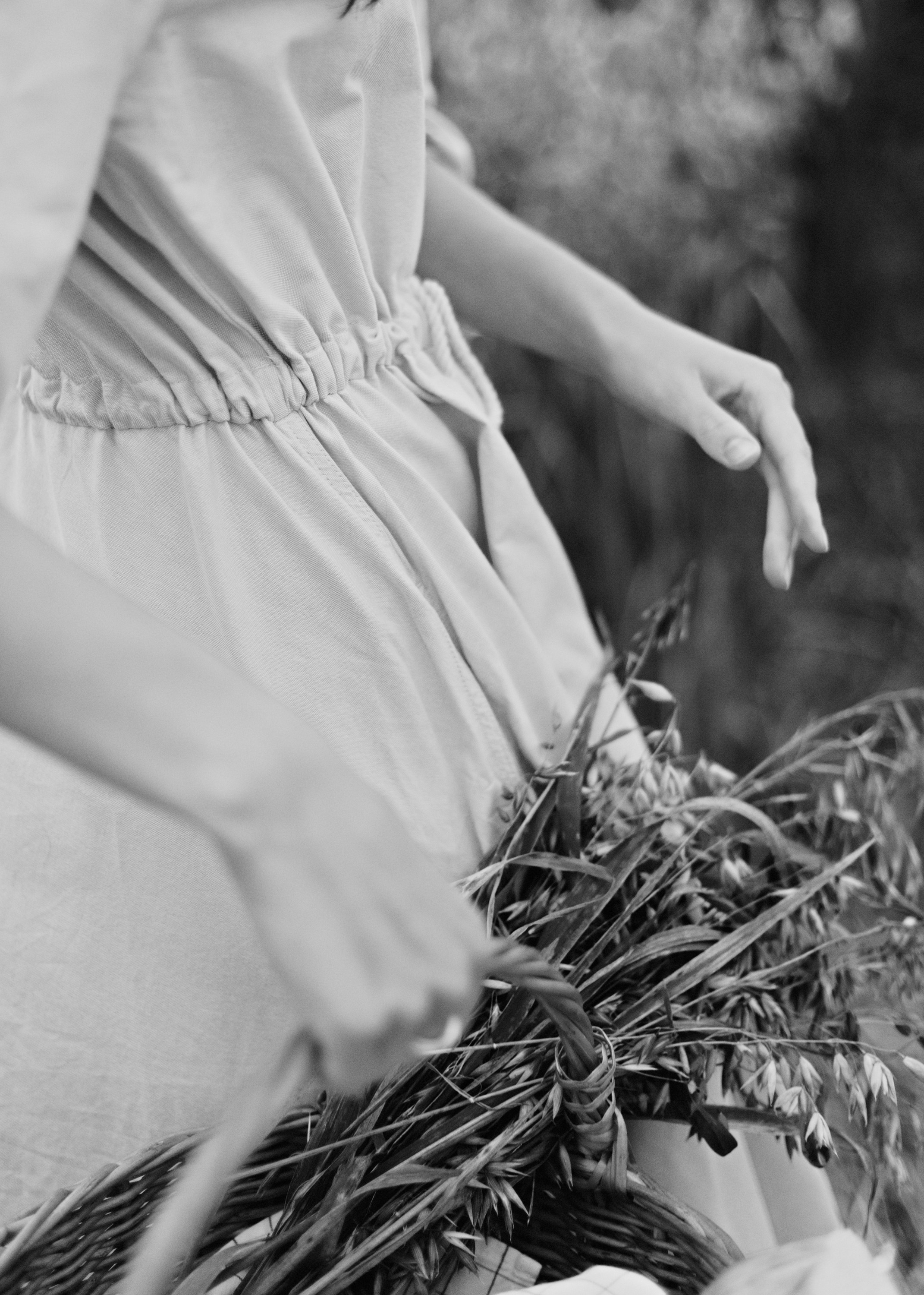 Katya | tenderness in the field. Kaja | fotograf psów we Wrocławiu