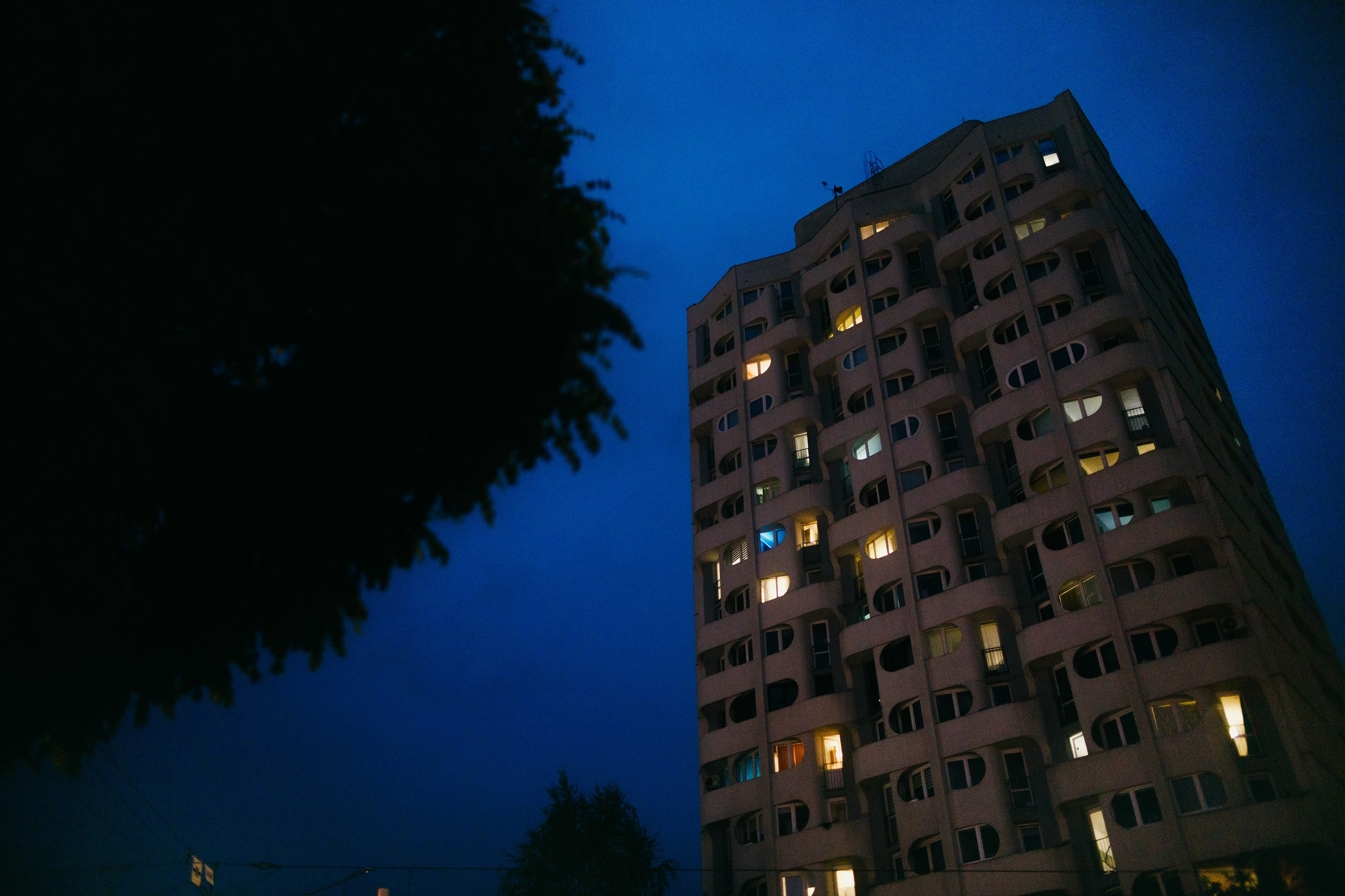 Night rainy Wroclaw. Kaja | fotograf psów we Wrocławiu