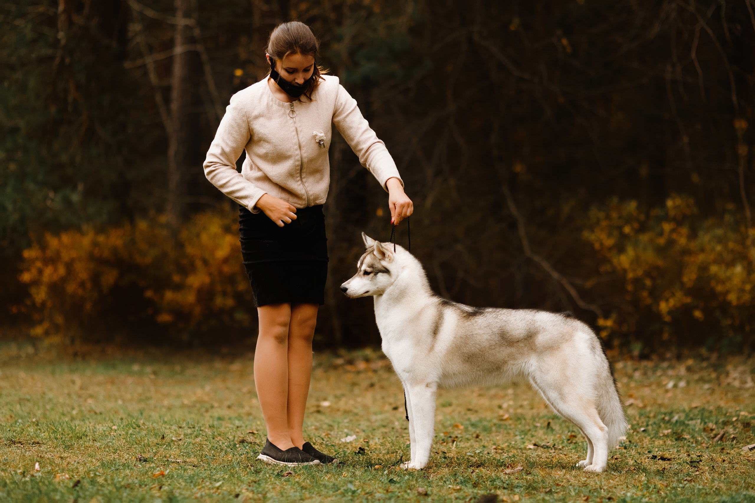 Dog shows | the best ones. Kaja | fotograf psów we Wrocławiu