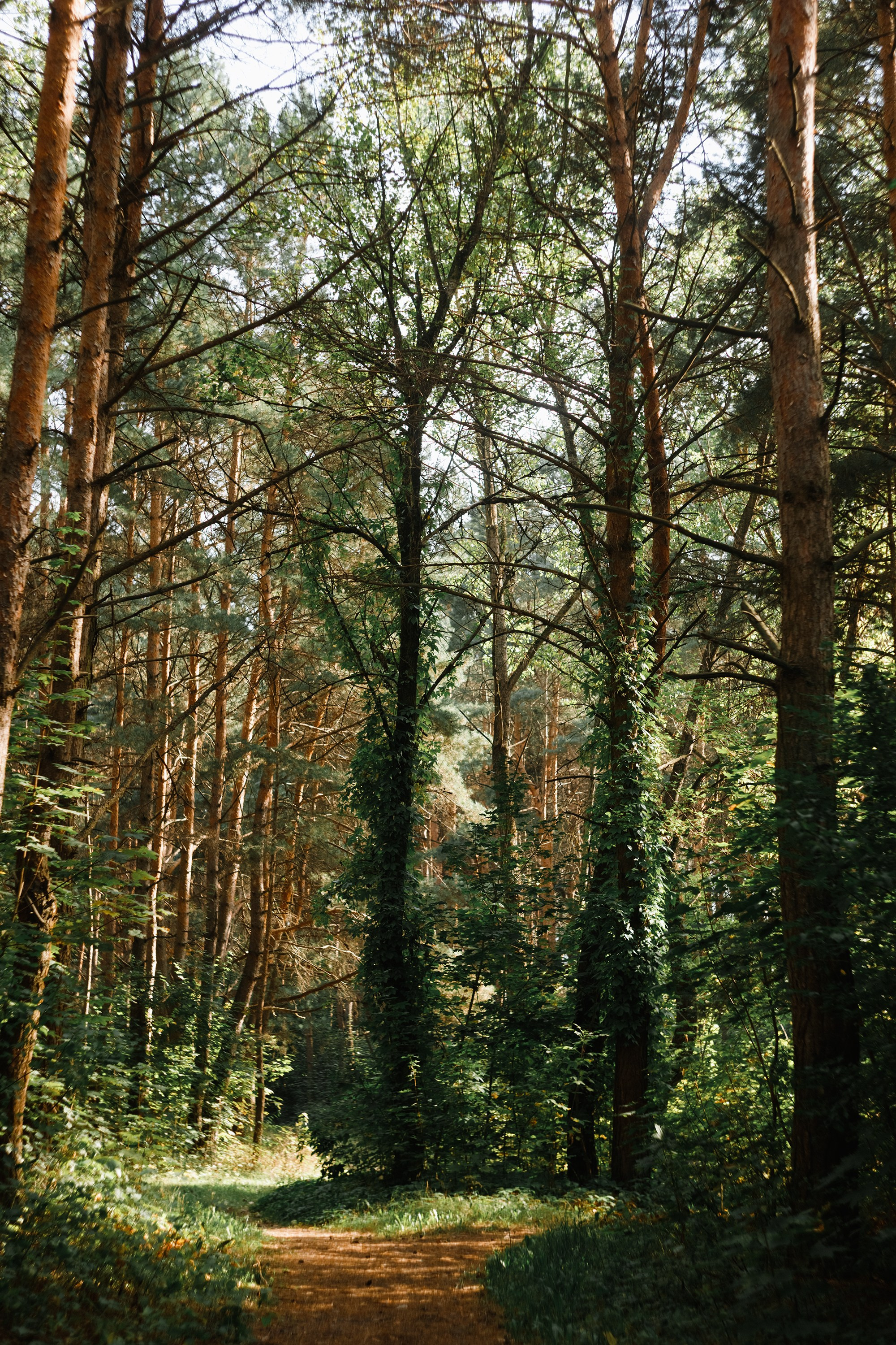 Grodno. Kaja | fotograf we Wrocławiu | ludzie i psy