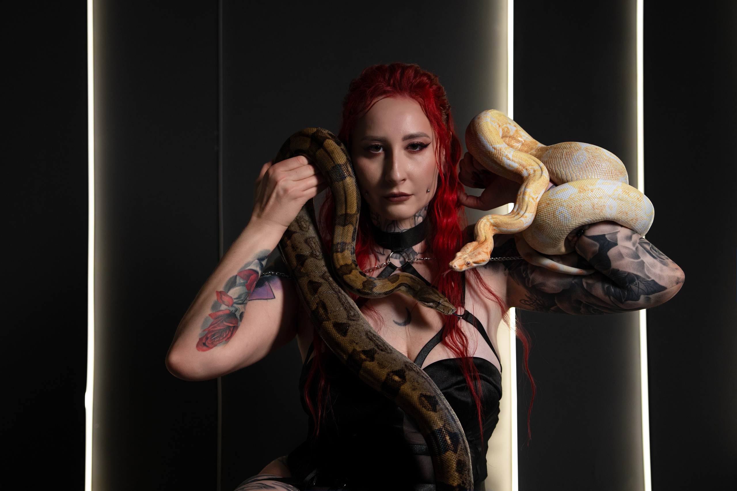 Victoria | Premium collaboration with snakes in a studio in Warsaw. Roman Volkov 🐍 Snake Father Warsaw, Poland