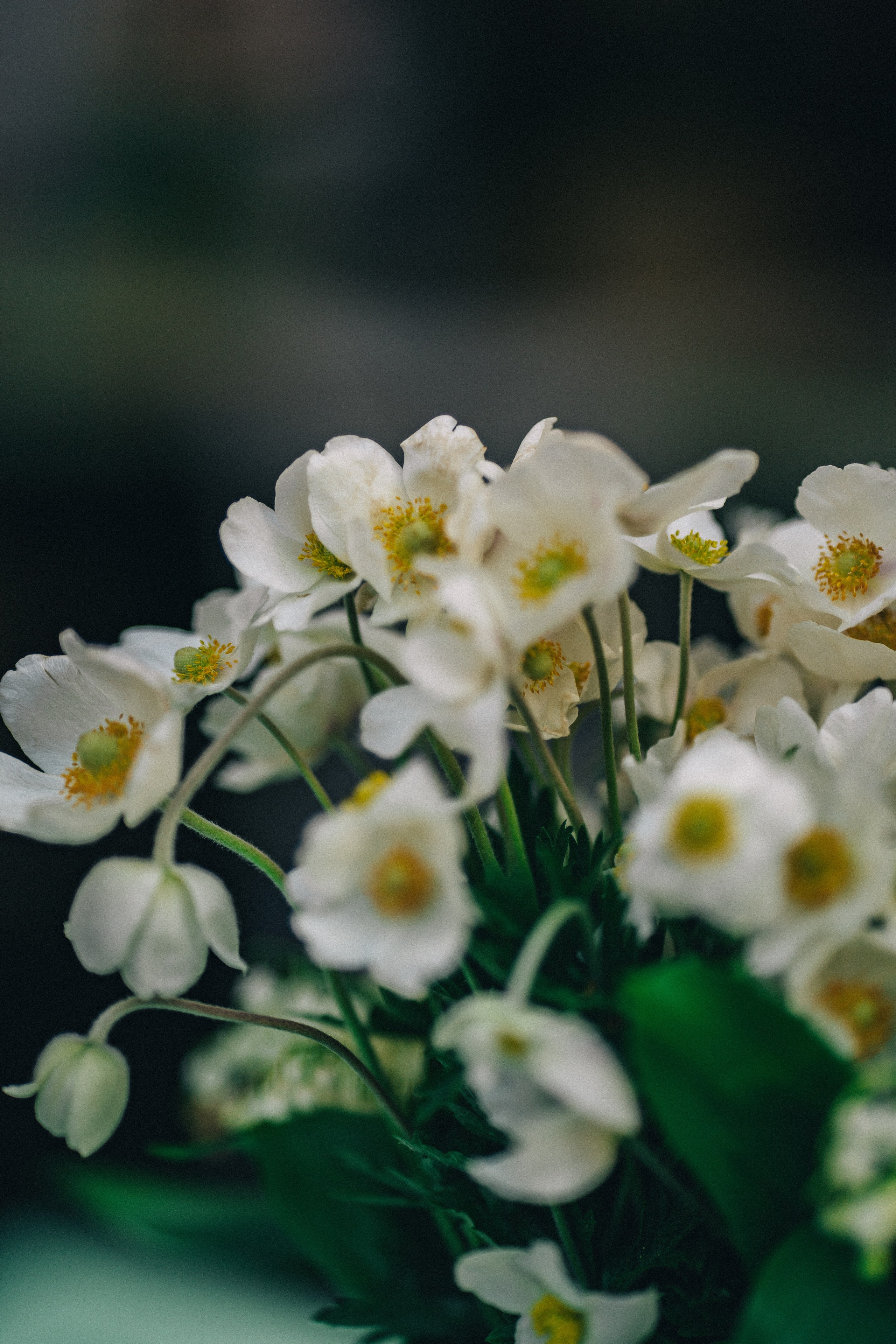 Street photo. Uvarovsphoto