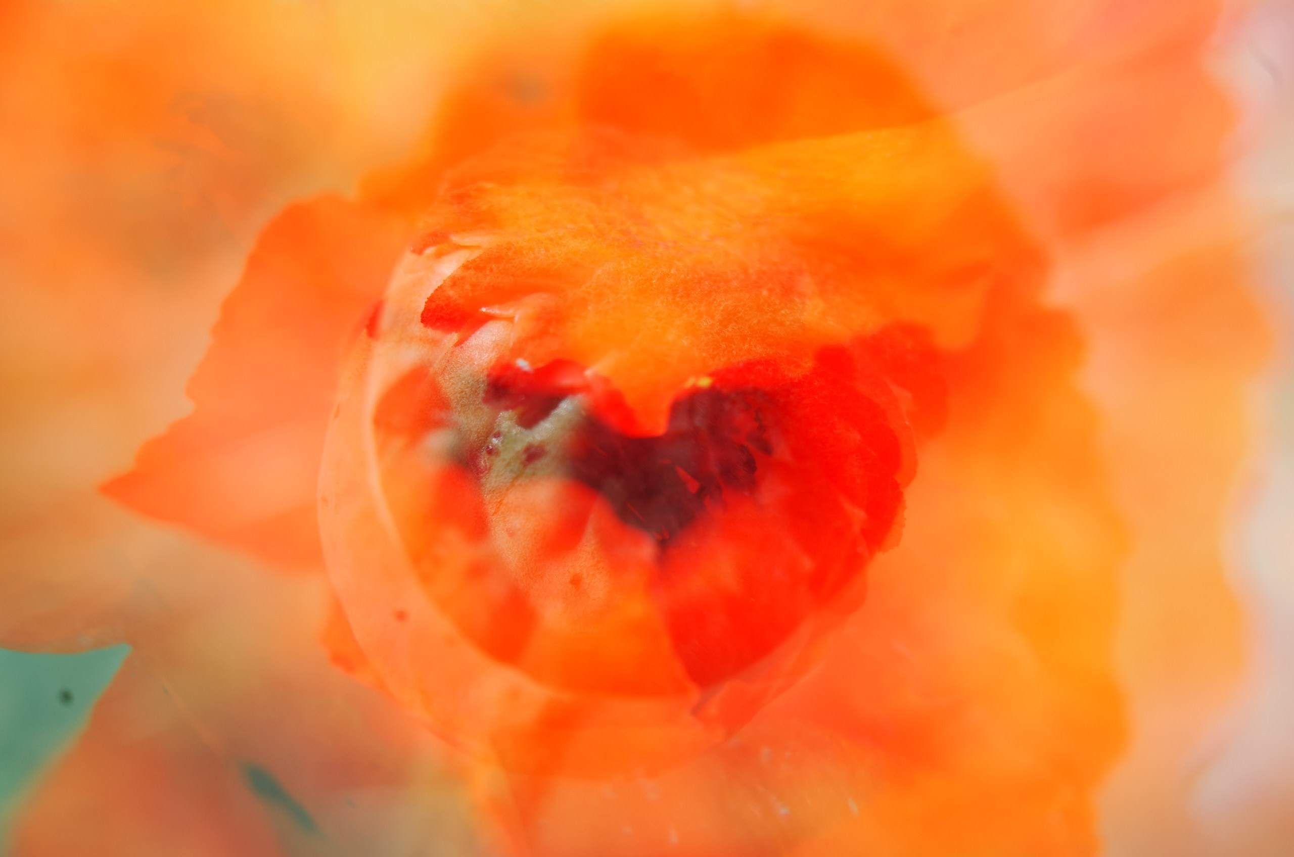 Prints. Victoria Dini. Art photography in London / Folkestone, UK