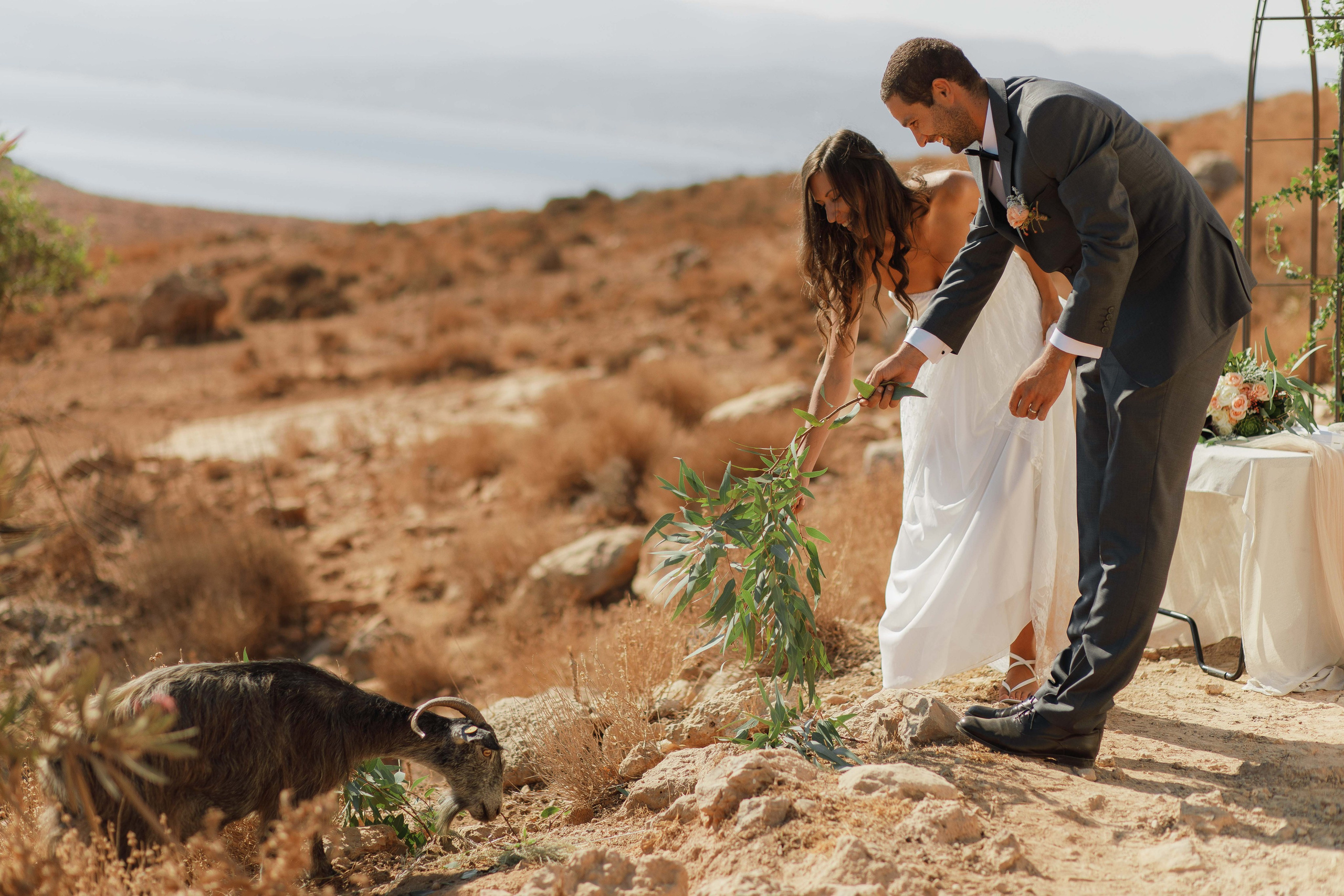 Marino & Steffi, Crete. Denny Savon — Photographer in Santorini | Weddings, Love Stories & Flying Dress